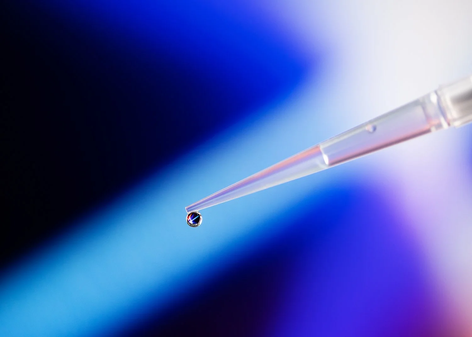 medix_biochemica_brand_labs_KP-8016_web.jpg