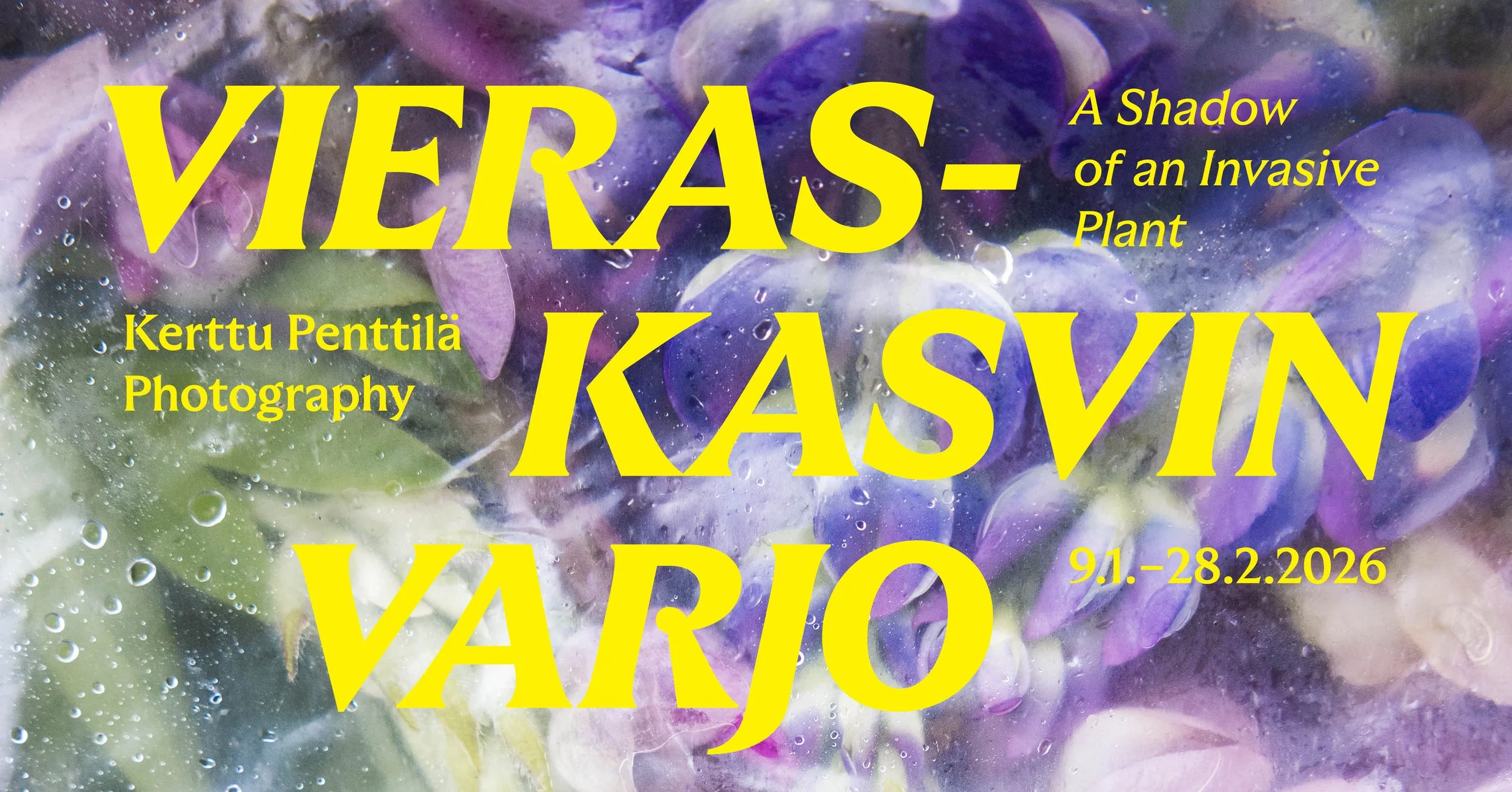vieraskasvit fb event 1920 x 10052.jpg