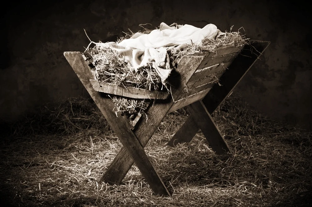 meal-in-a-manger.jpg