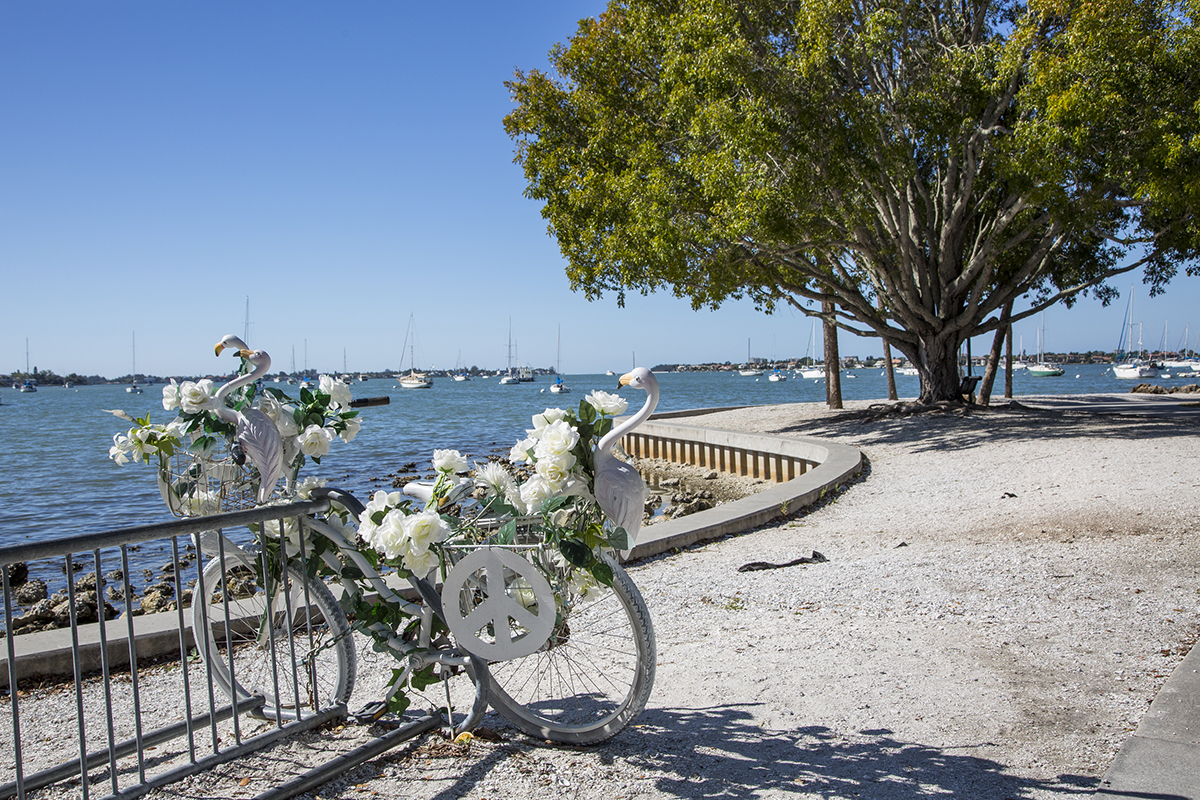 Bayfront Park - Bike by Dr. Nic