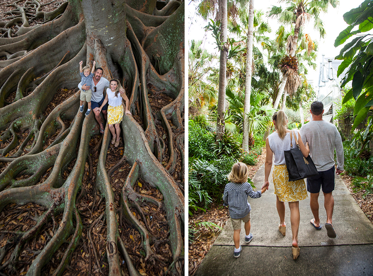 Selby Gardens
