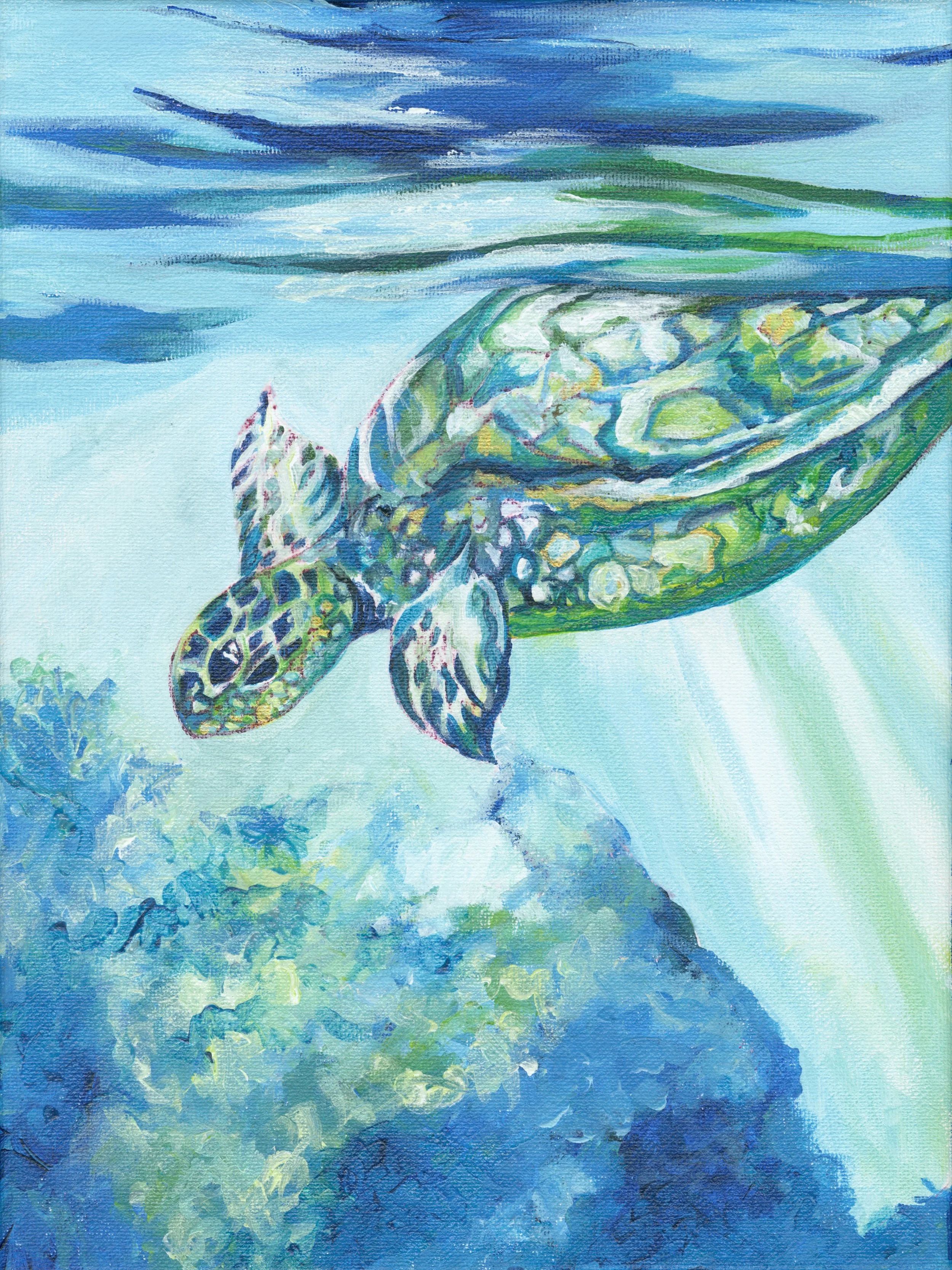Wait for it! Honu 4.jpg