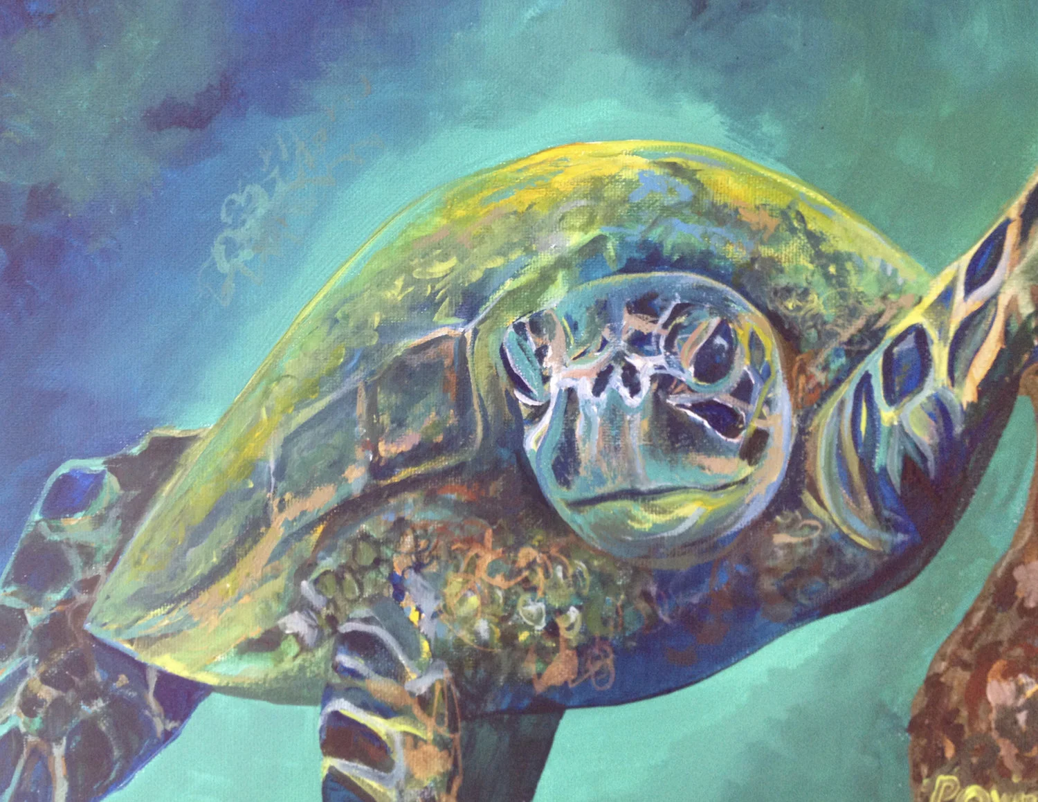 Honu+Wisdom+20+jpeg.jpg