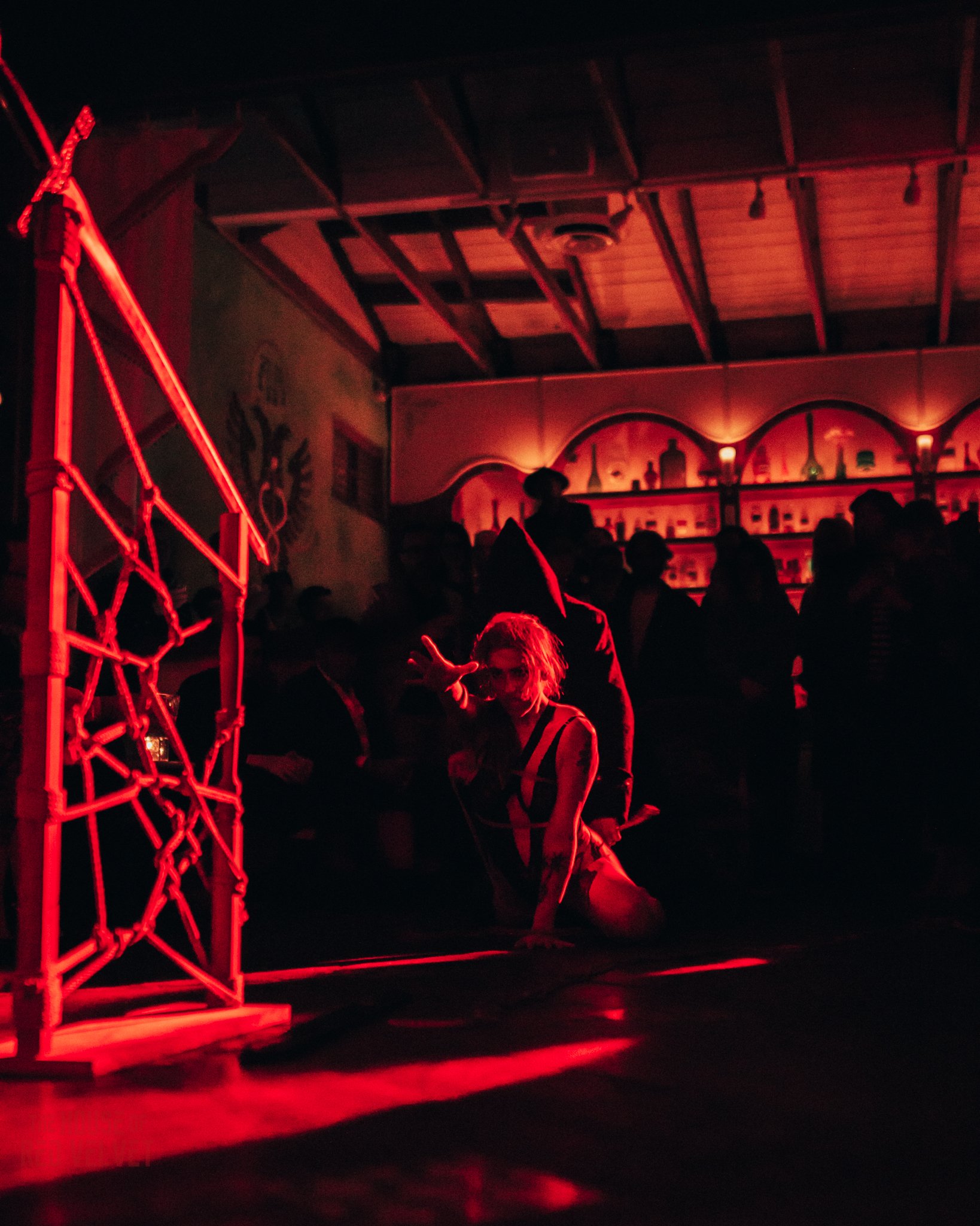 house-of-red-velvet-performance-art-theater-surrealism-salonA9411.jpg