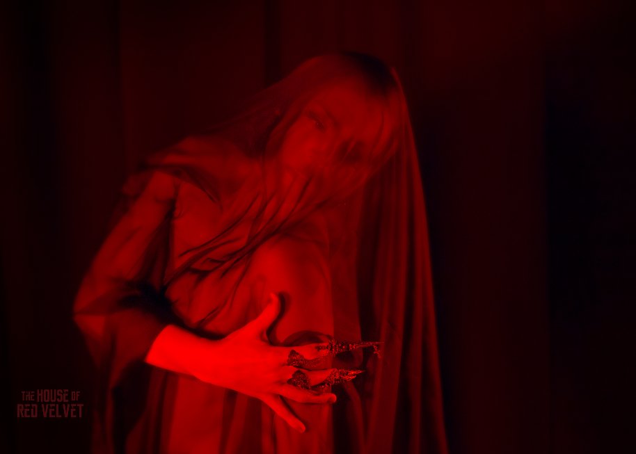 house-of-red-velvet-performance-dark-art-surreal_D_01.jpg