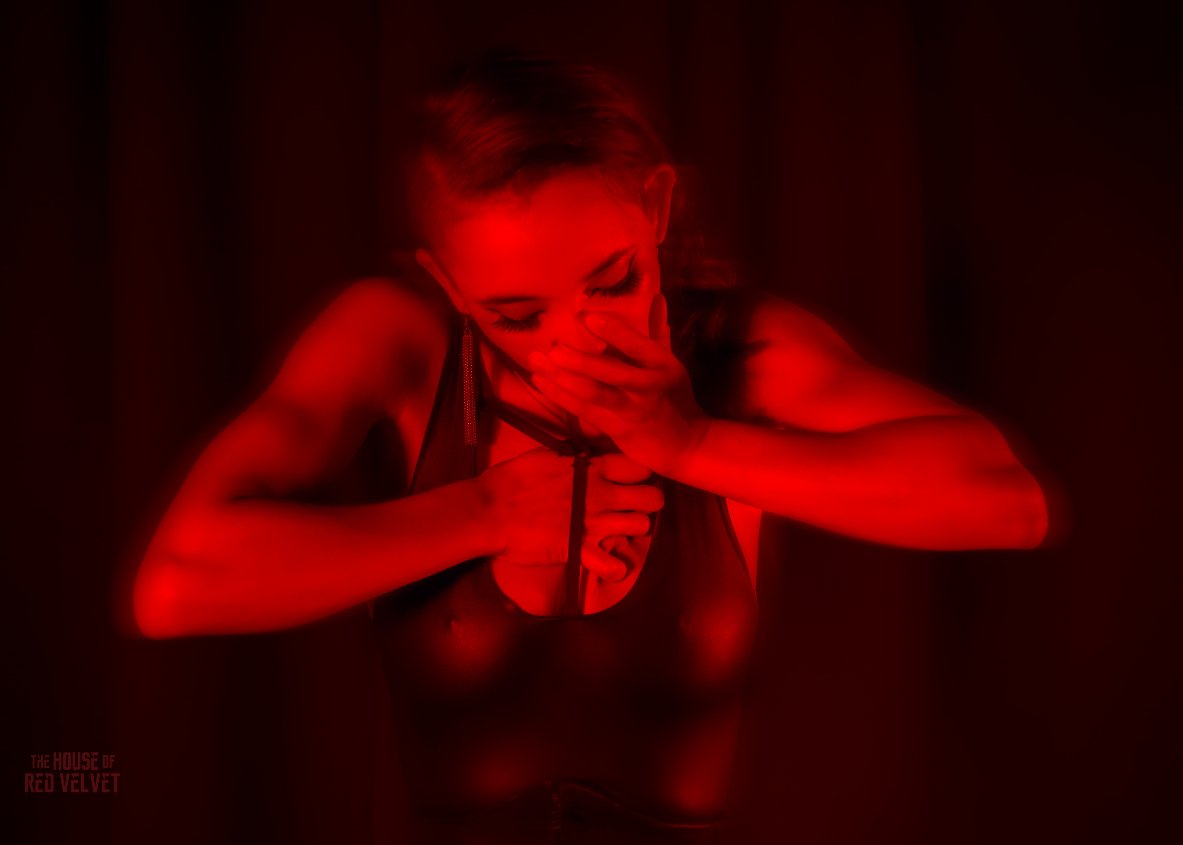 house-of-red-velvet-performance-dark-art-surreal_D_06.jpg