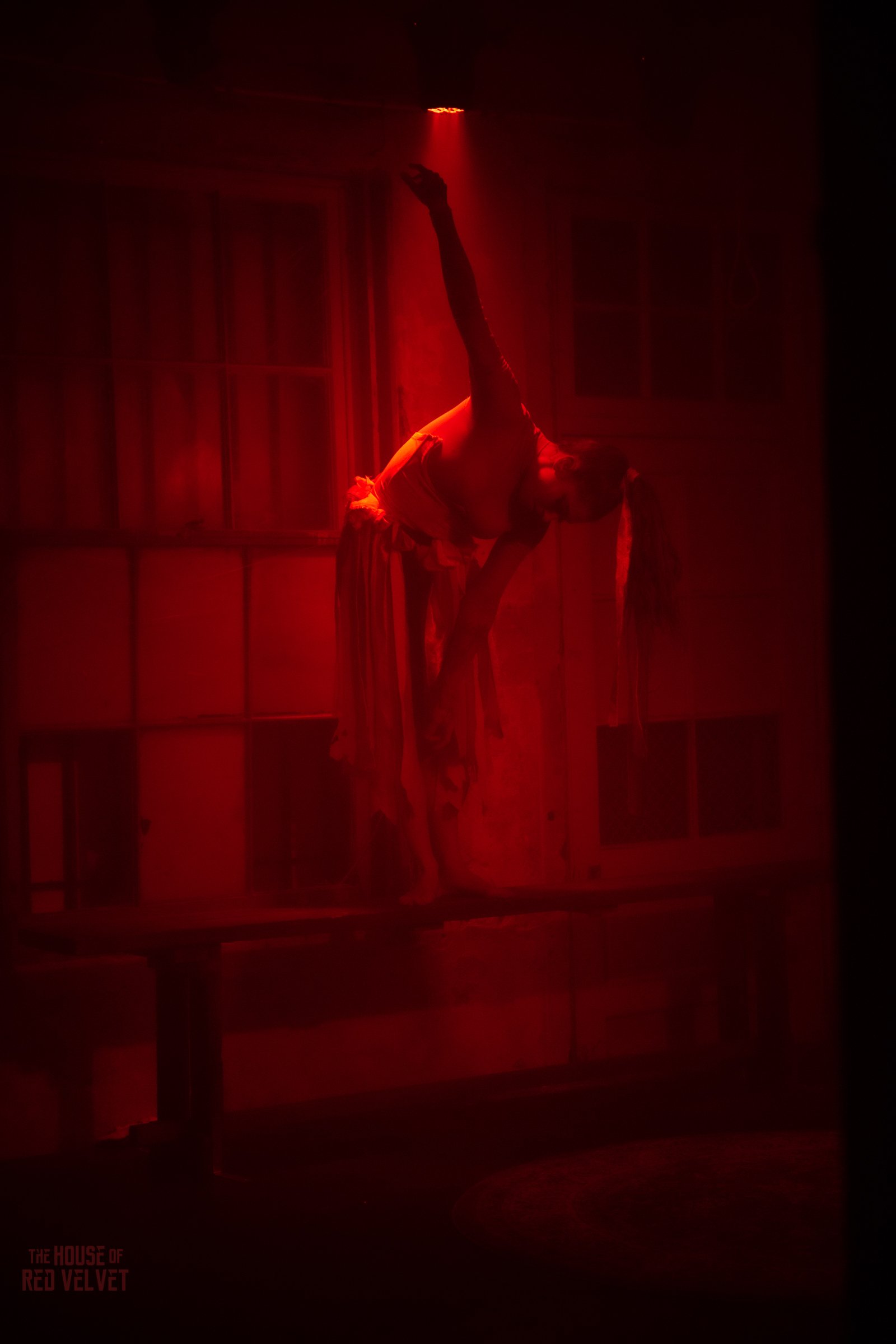 house-of-red-velvet-performance-dark-art-surreal-1931.jpg