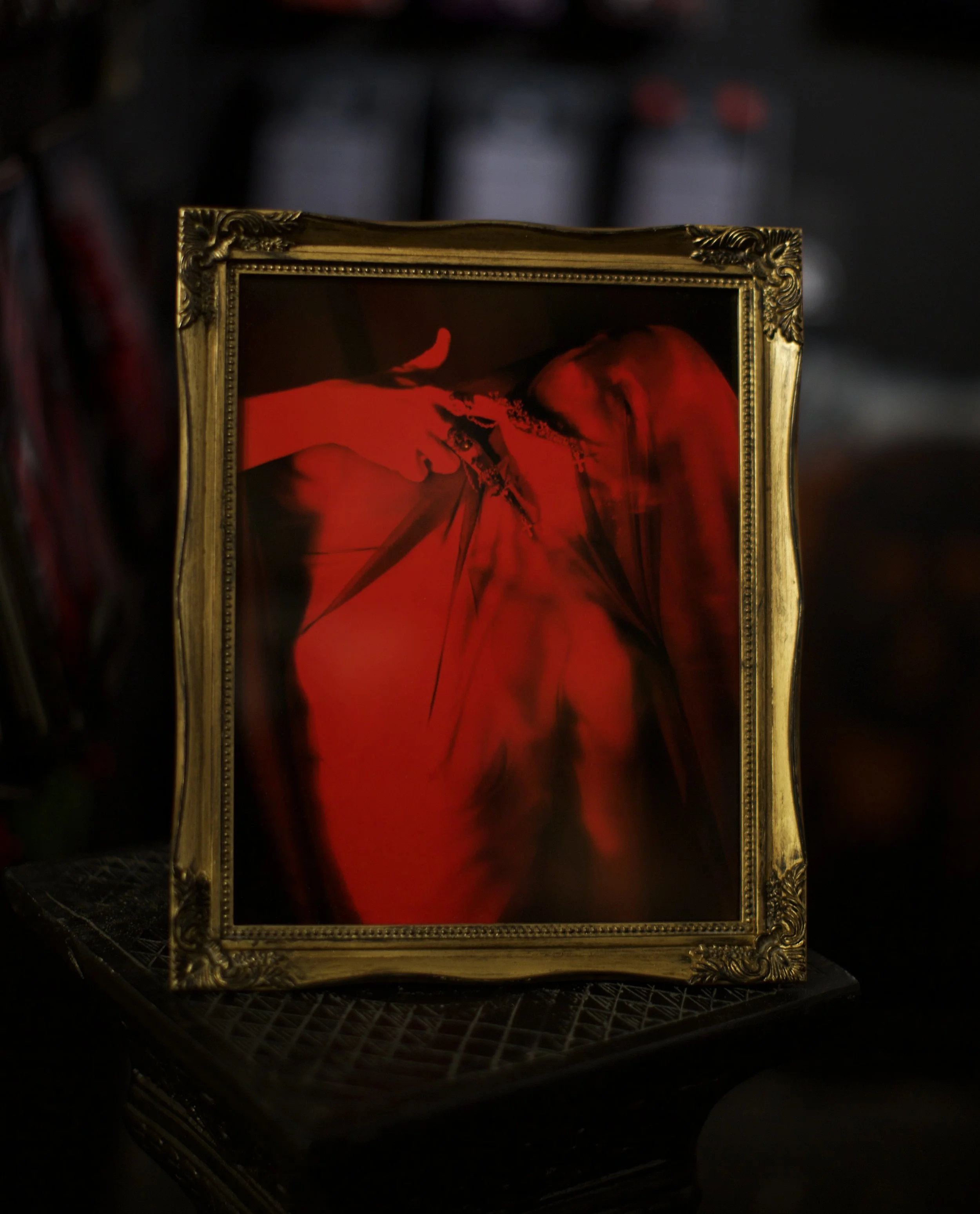 house-of-red-velvt-framed-ornate-dark-art-piece.JPG