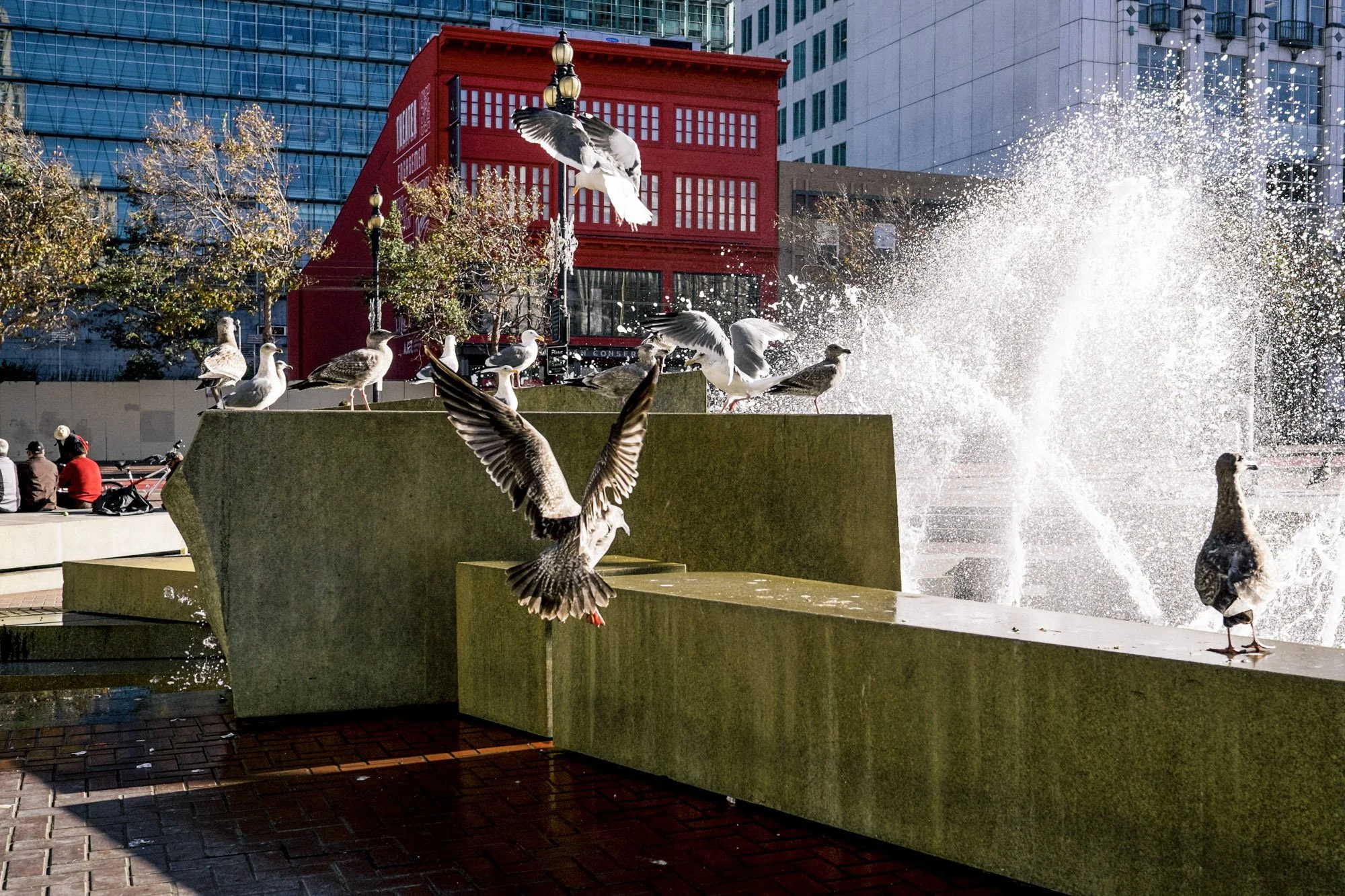 Gull_Booty_Fountain.jpg