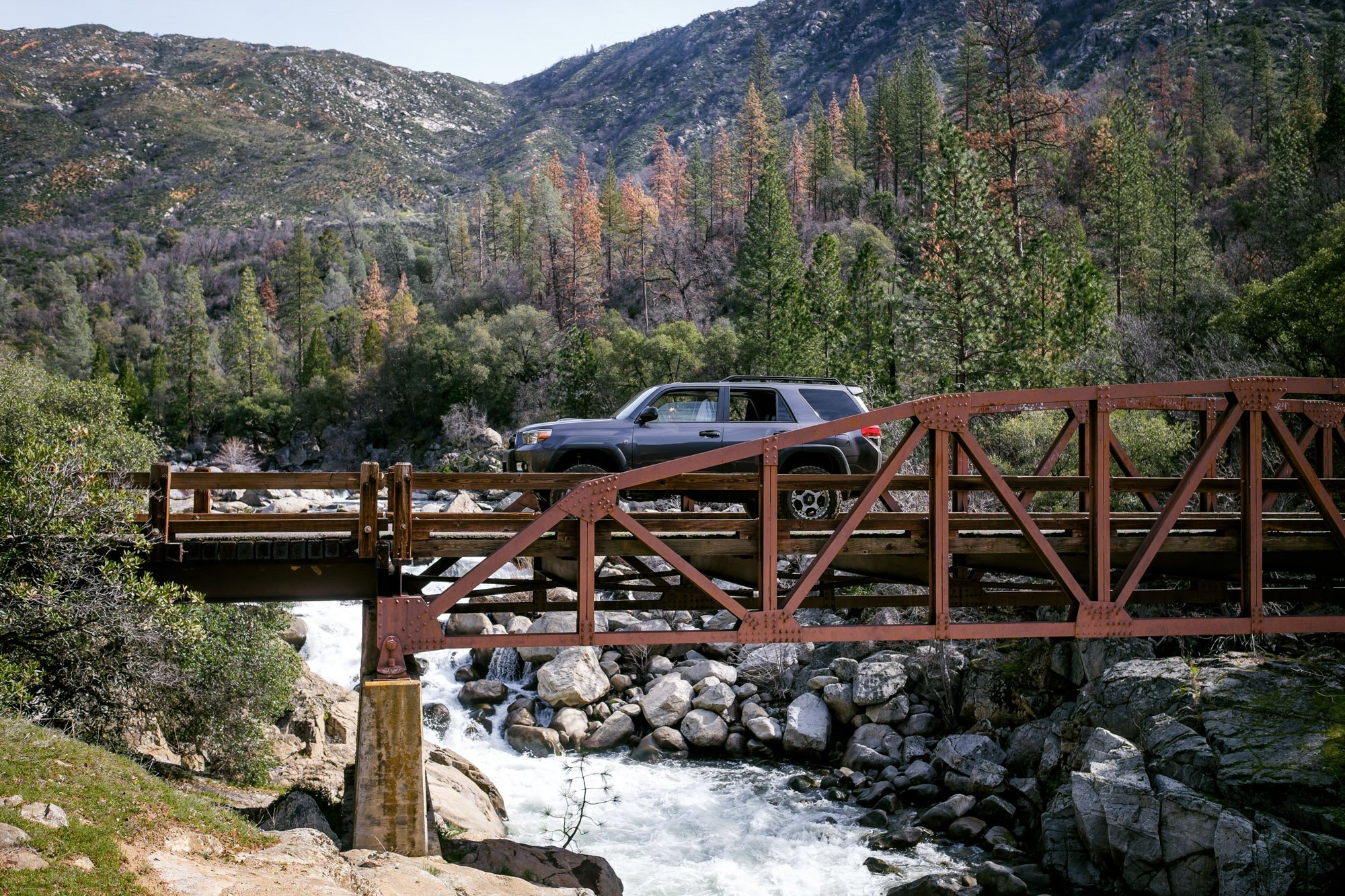 Tuolumne_Bridge_Runner-2.jpg