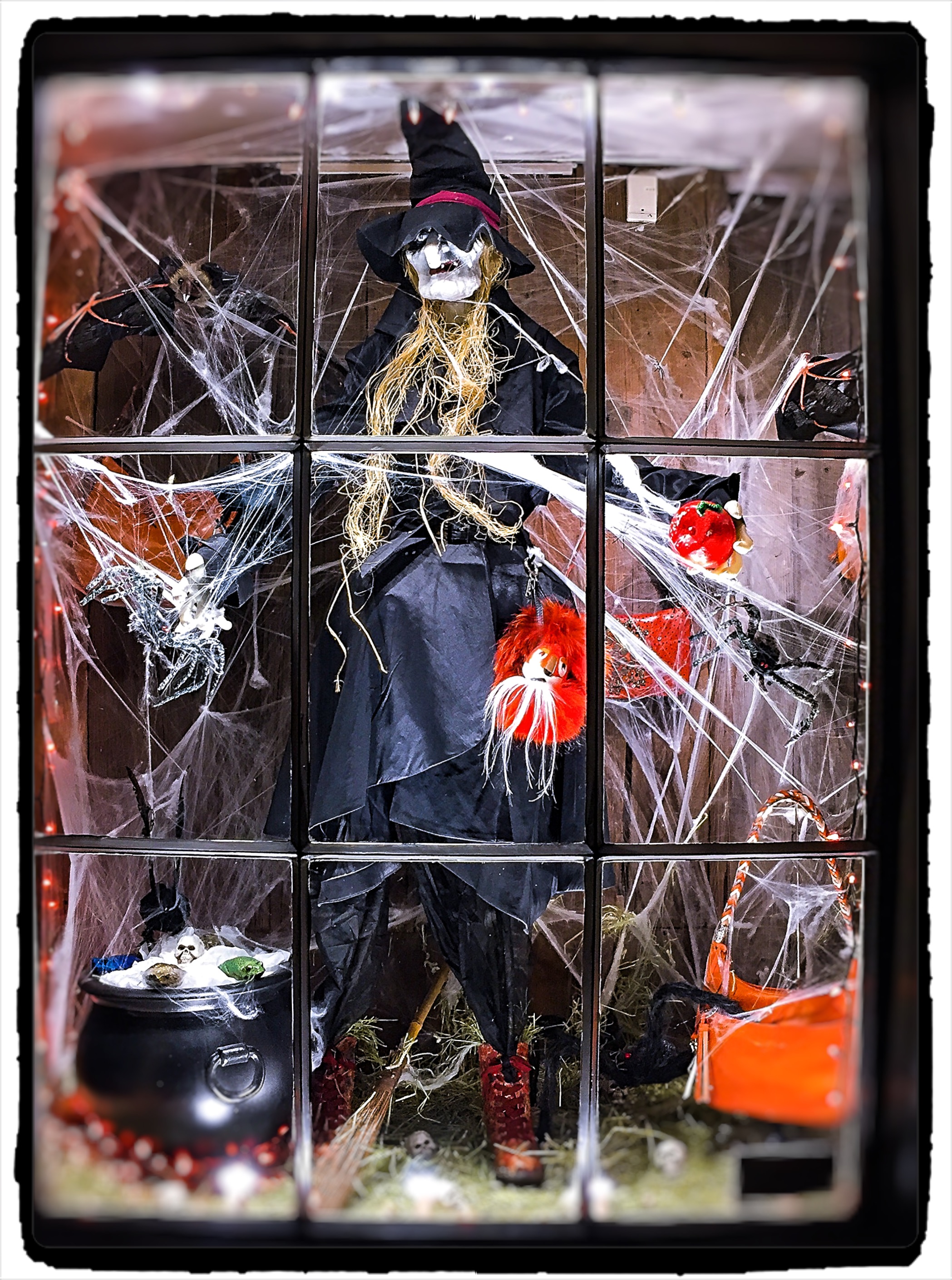 #scarecrow2018 Window Display