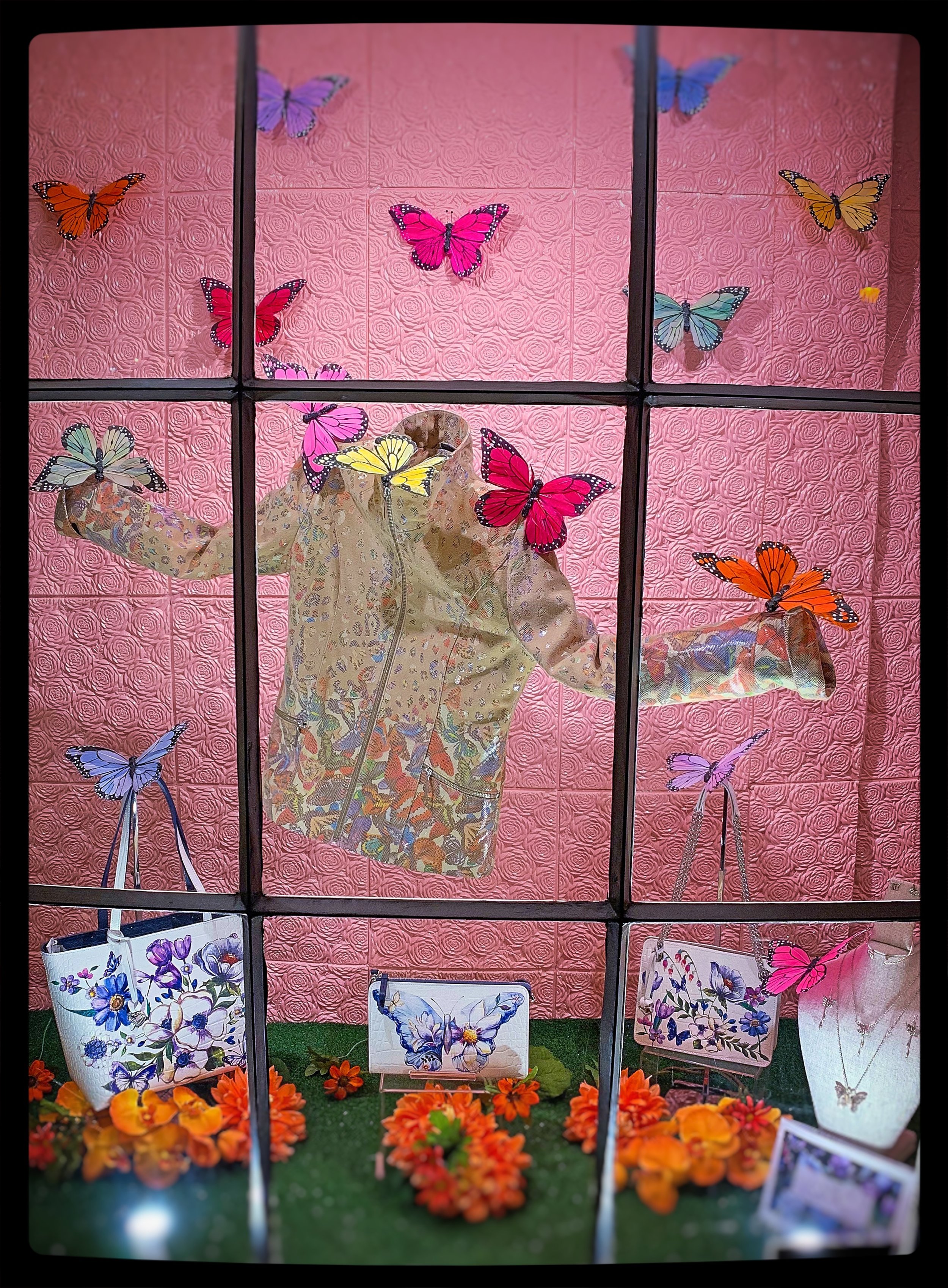 #butterfly2019 Window Display