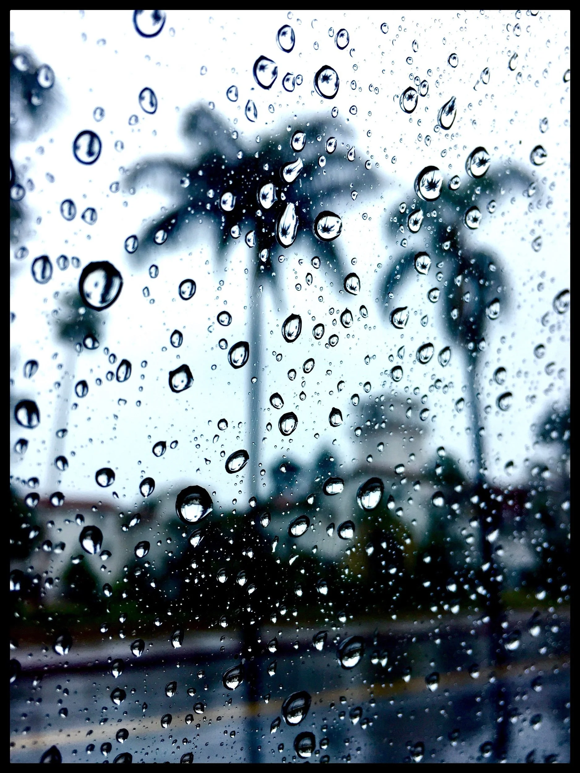 IMG_3577.jpeg
