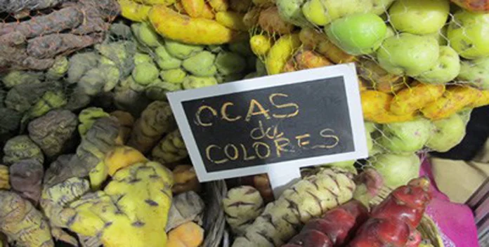 MISTURA: The Food Fair of Your Dreams Might Just Be in Peru