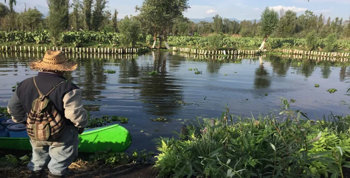 Spreading the Word in Xochimilco: A Conference on Biodiversity