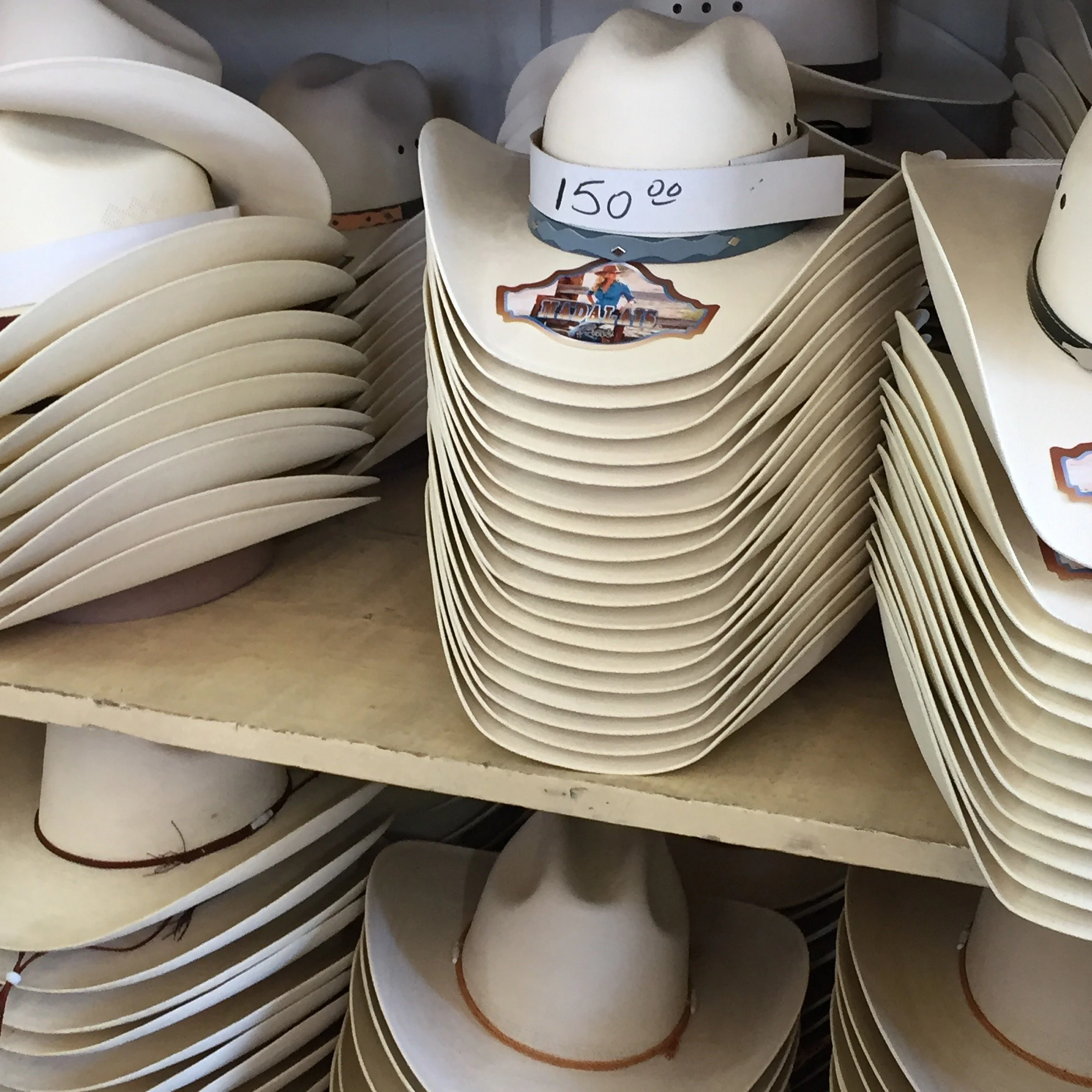 Ah Chihuahua! – A Trip through Space and Time