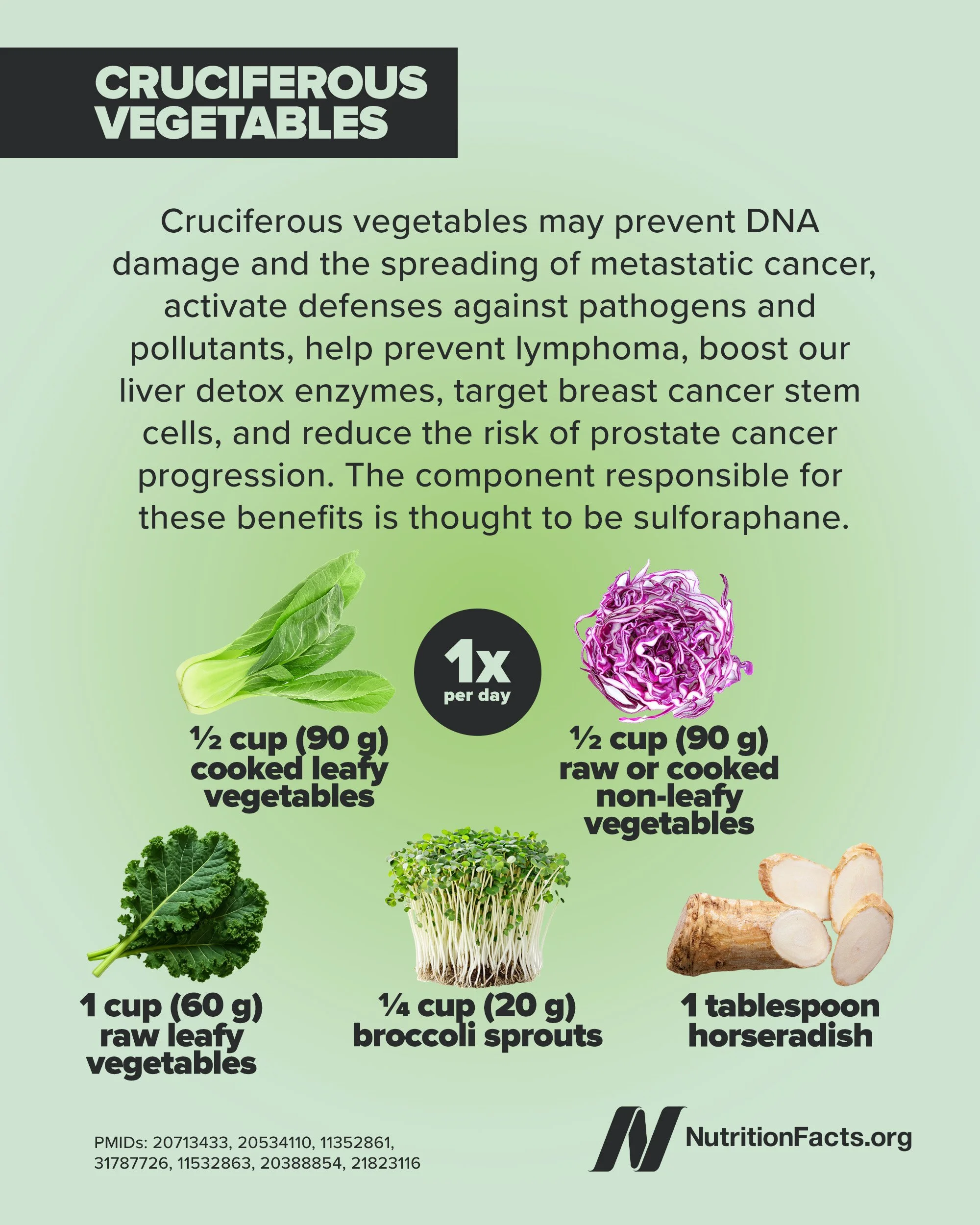 Daily Dozen Infographic 8.jpg