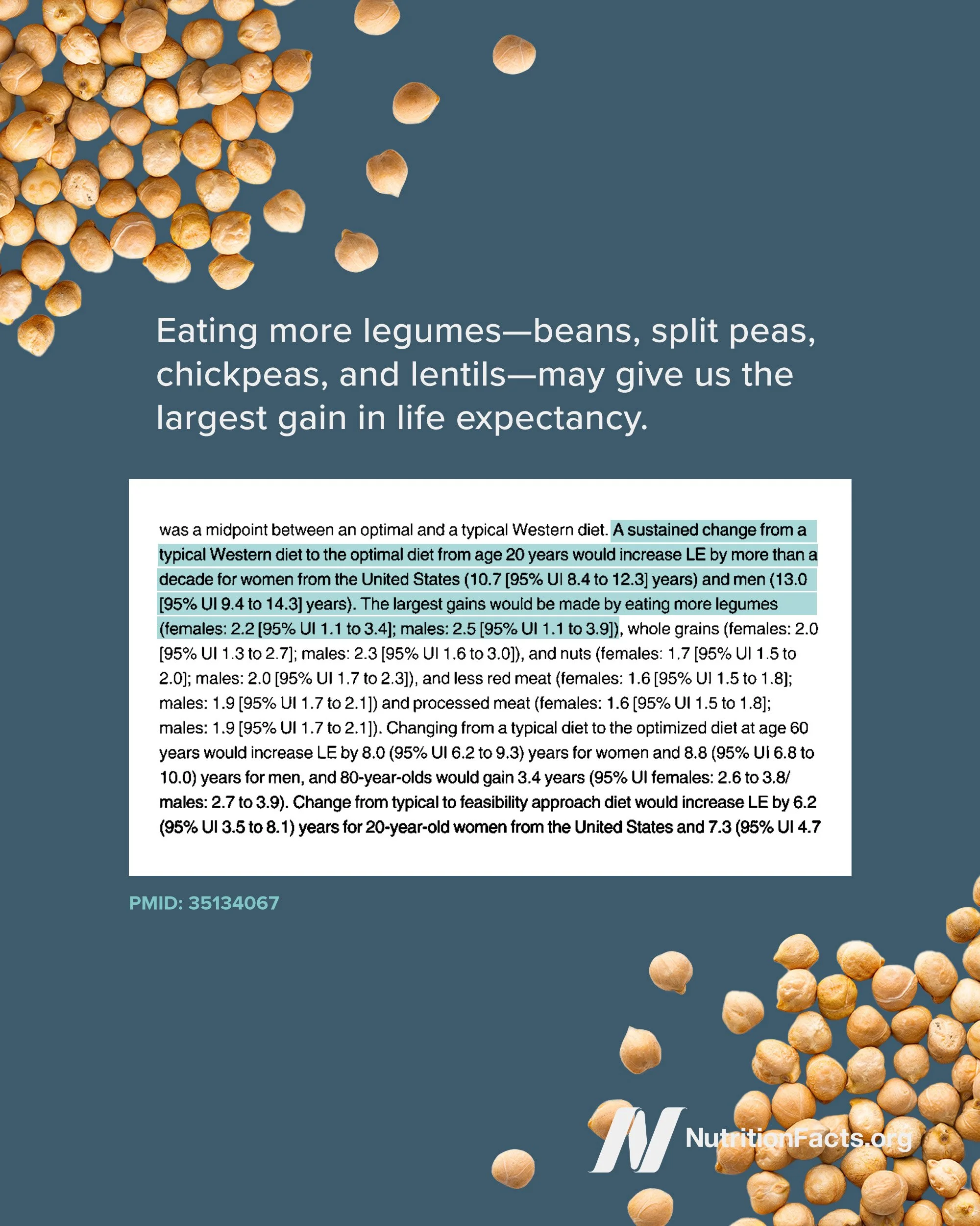 Beans and Legumes 2.jpg