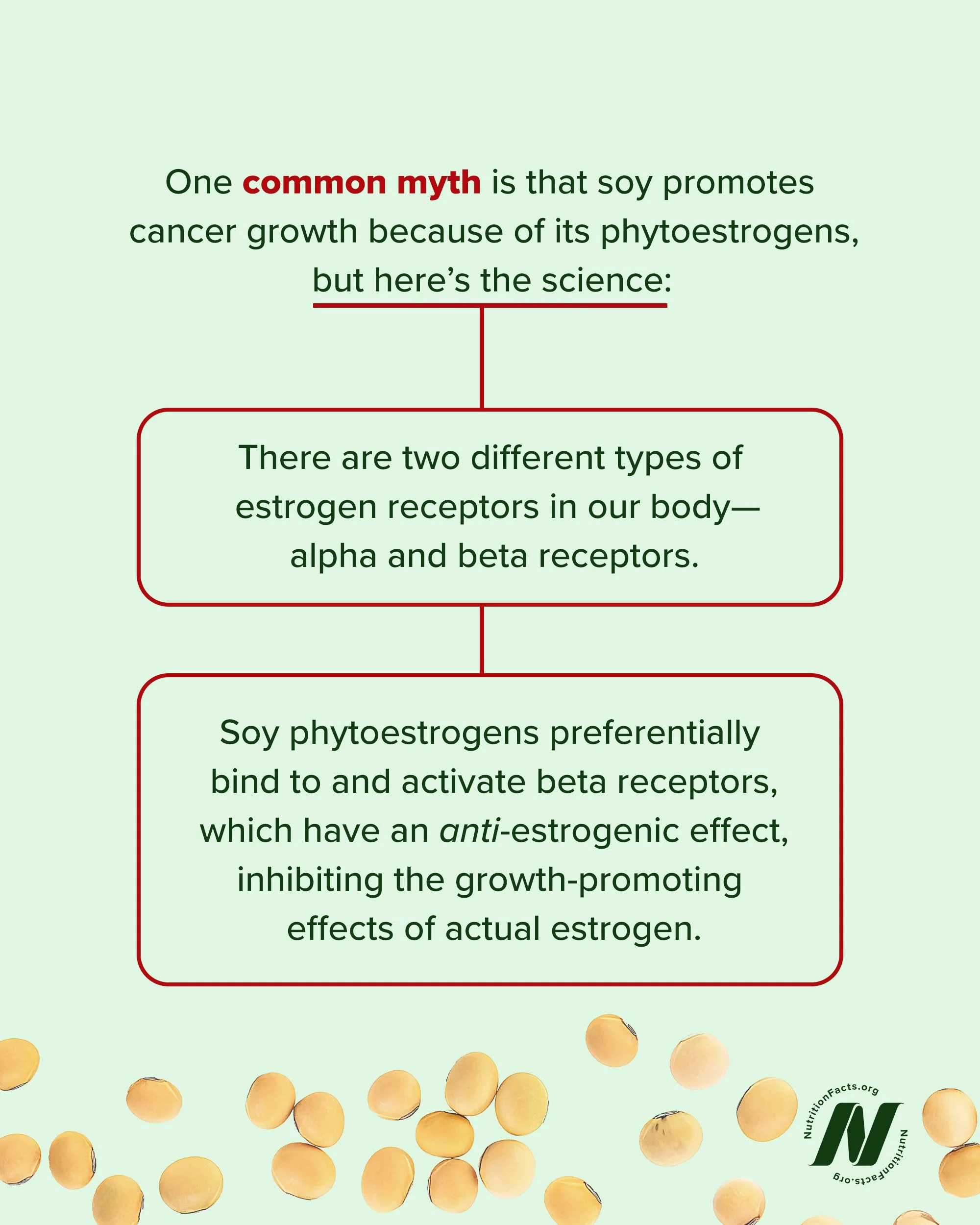 2 - Soy Milk.jpg