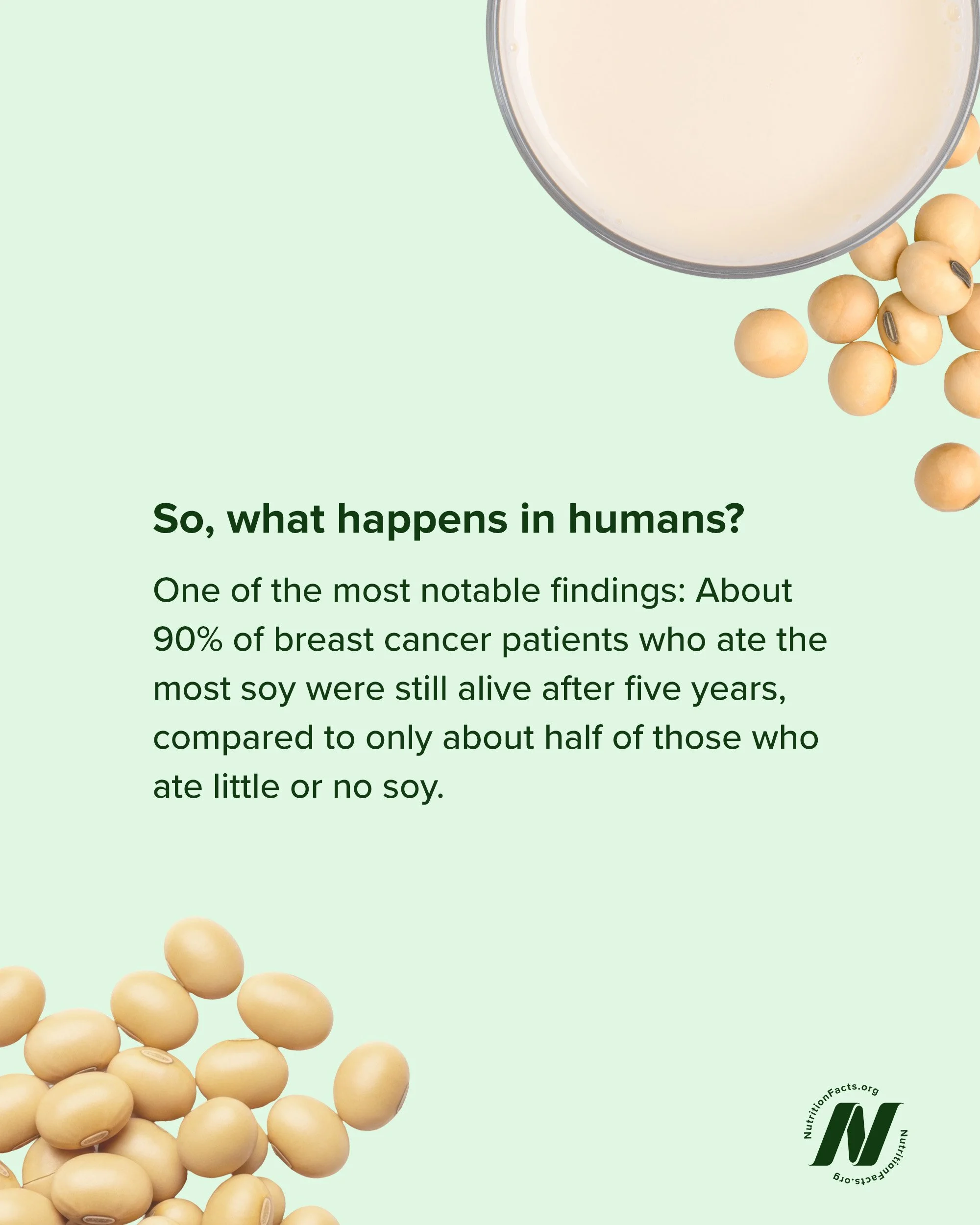 5 - Soy Milk.jpg