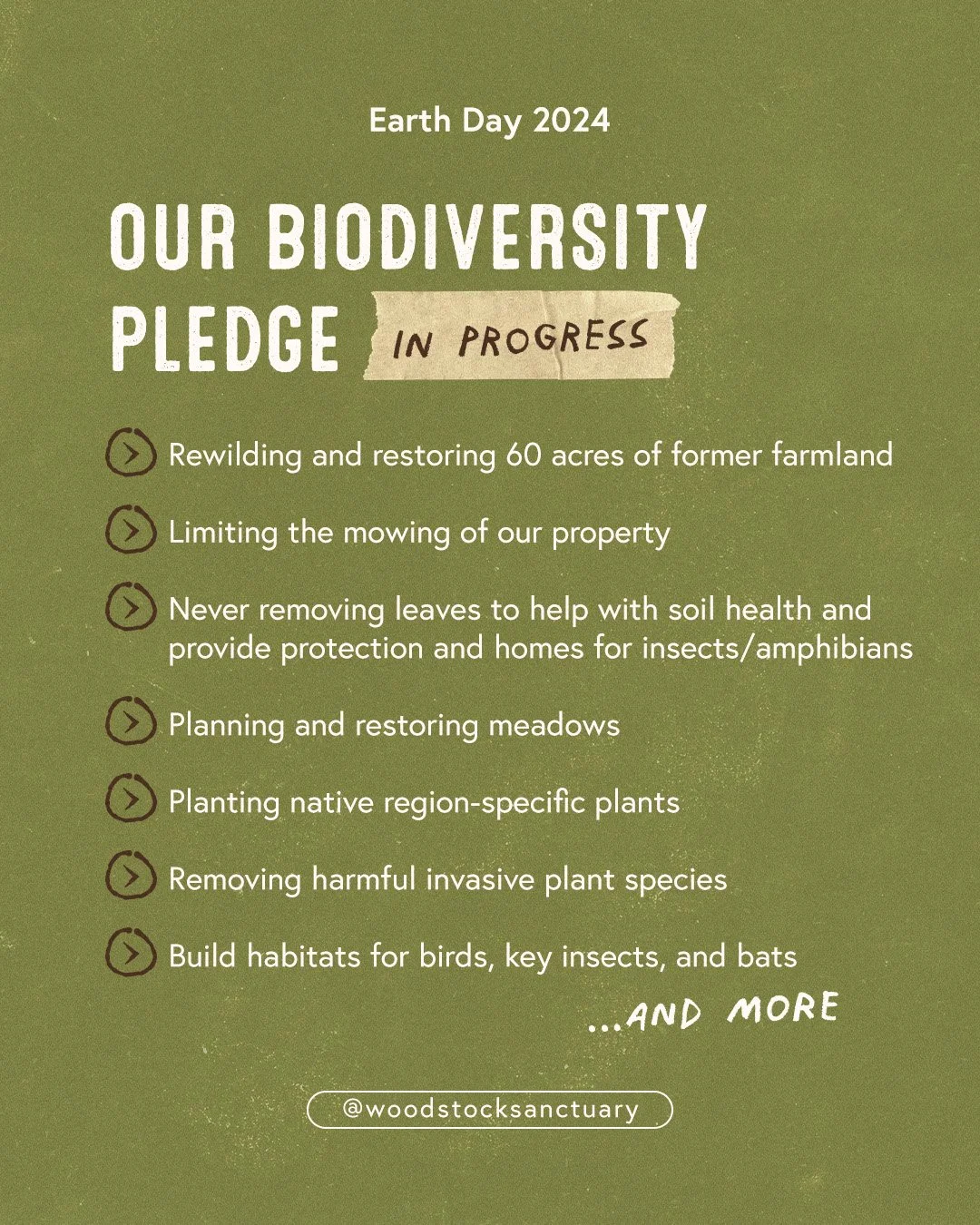 Earth Day Post 2024-3.jpg