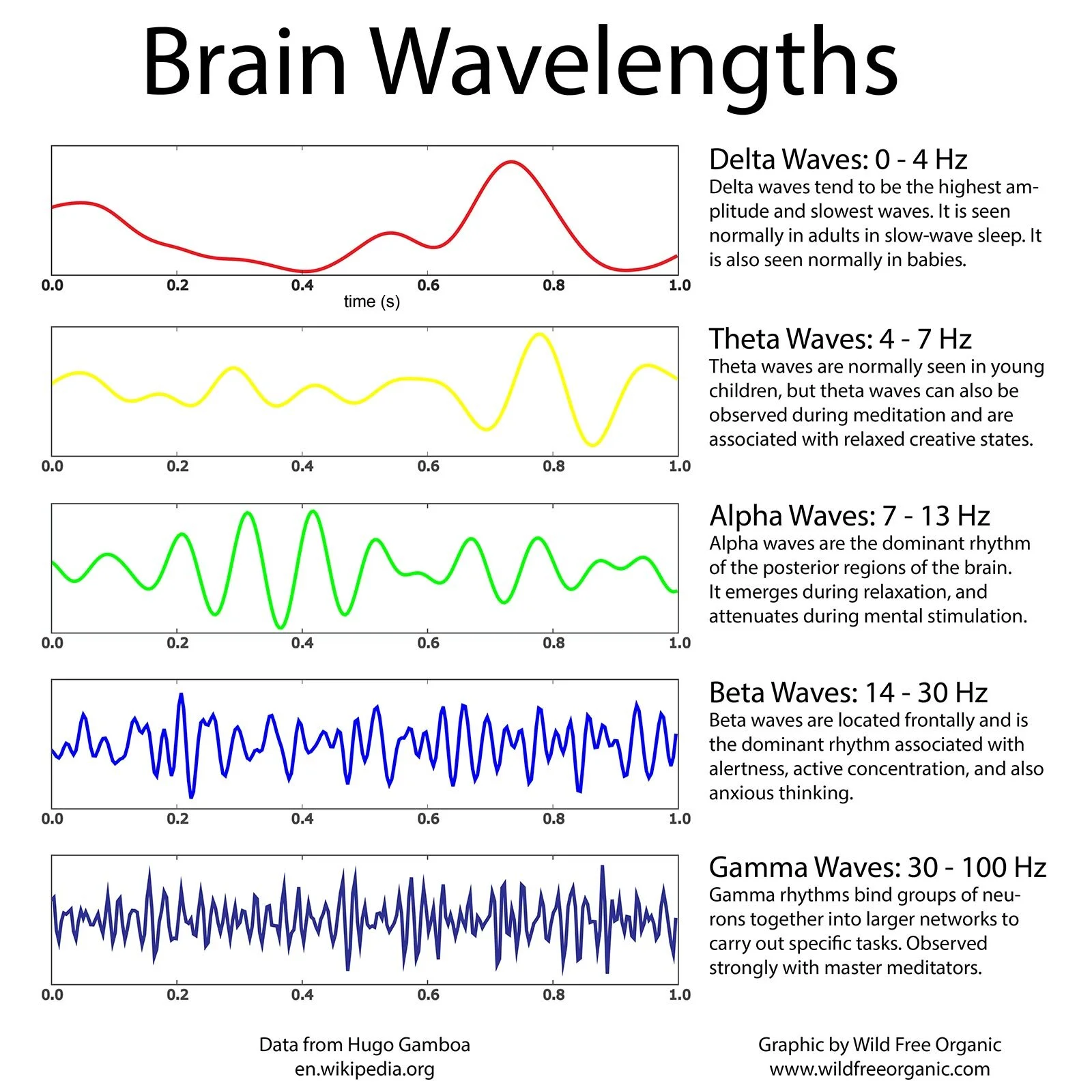 Different Types Of Brain Waves And Their Benefits – JHITGJ