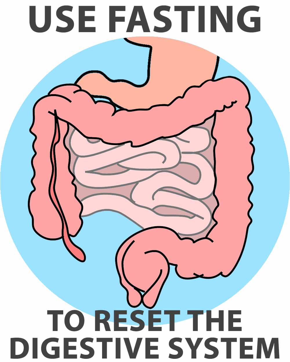 Use Fasting to Reset the Digestive System.jpg