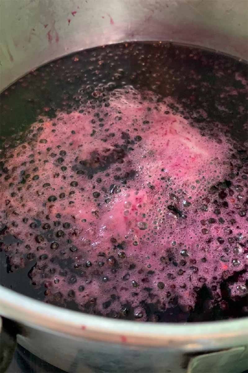 boiling elderberry pulp.jpg