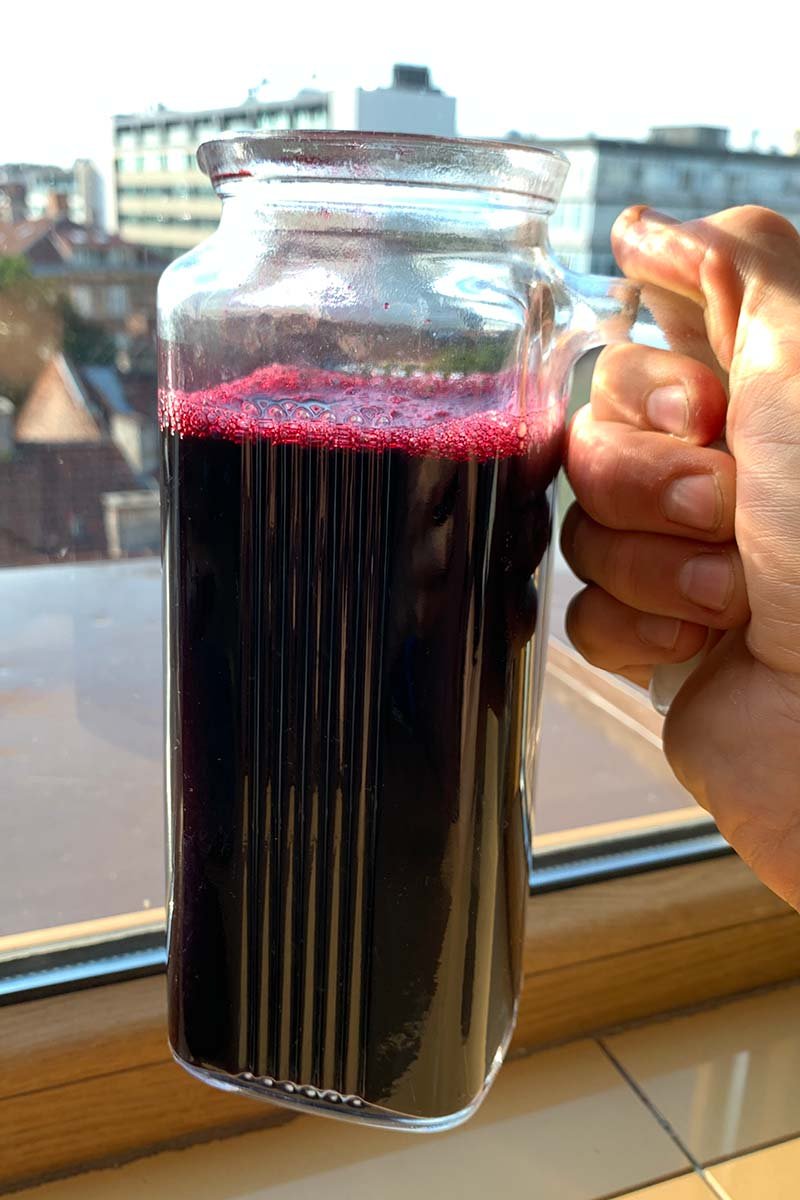 elderberry juice in glass pitcher.jpg