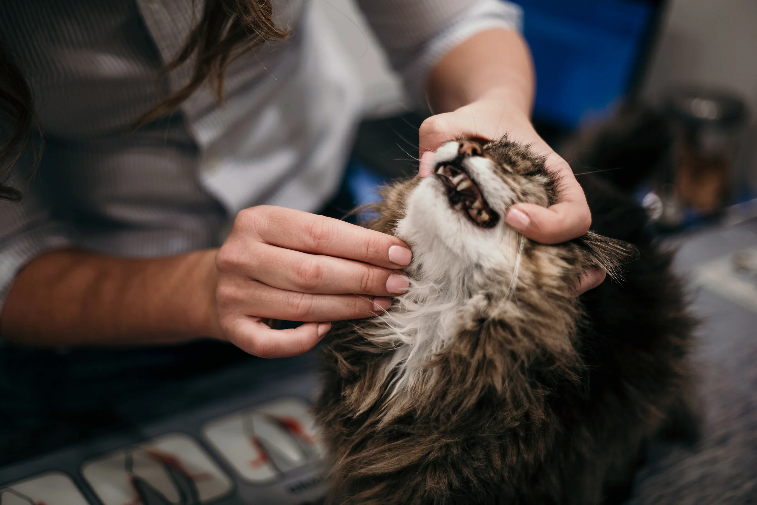 DR_KATE_CLINIC_ 08_09_2018 (3 of 3).jpg