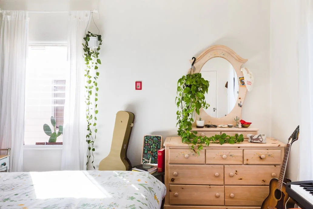 Design Inspiration: Hanging Plants