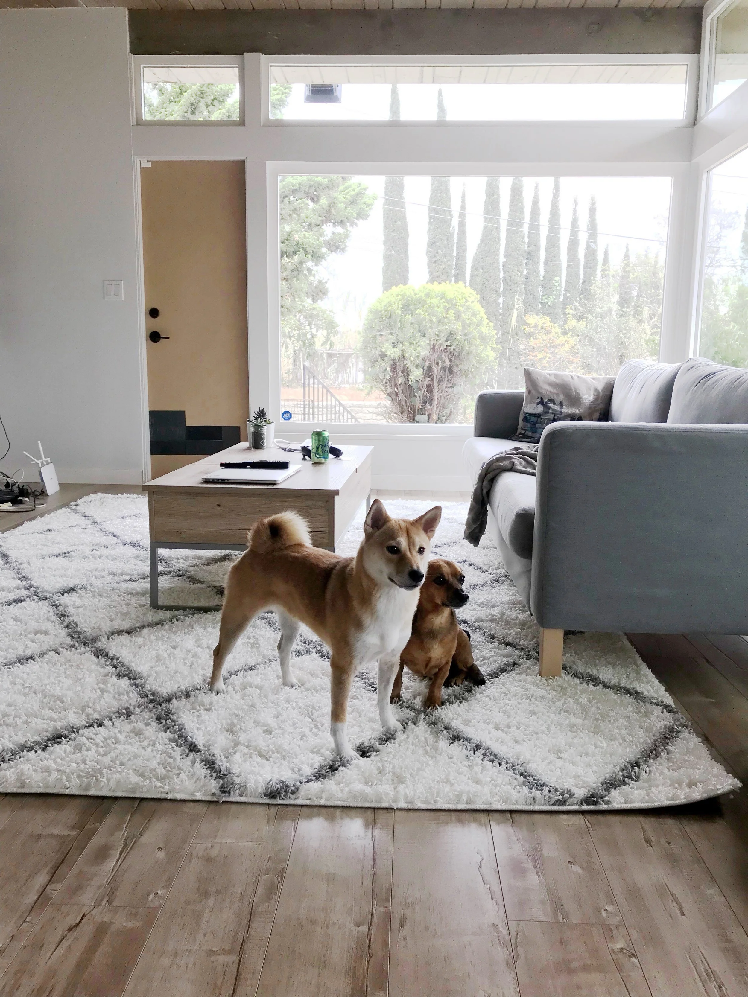  Buying Our Living Room Rug