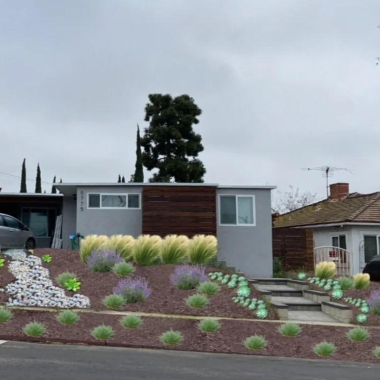 Landscaping_V1.jpg