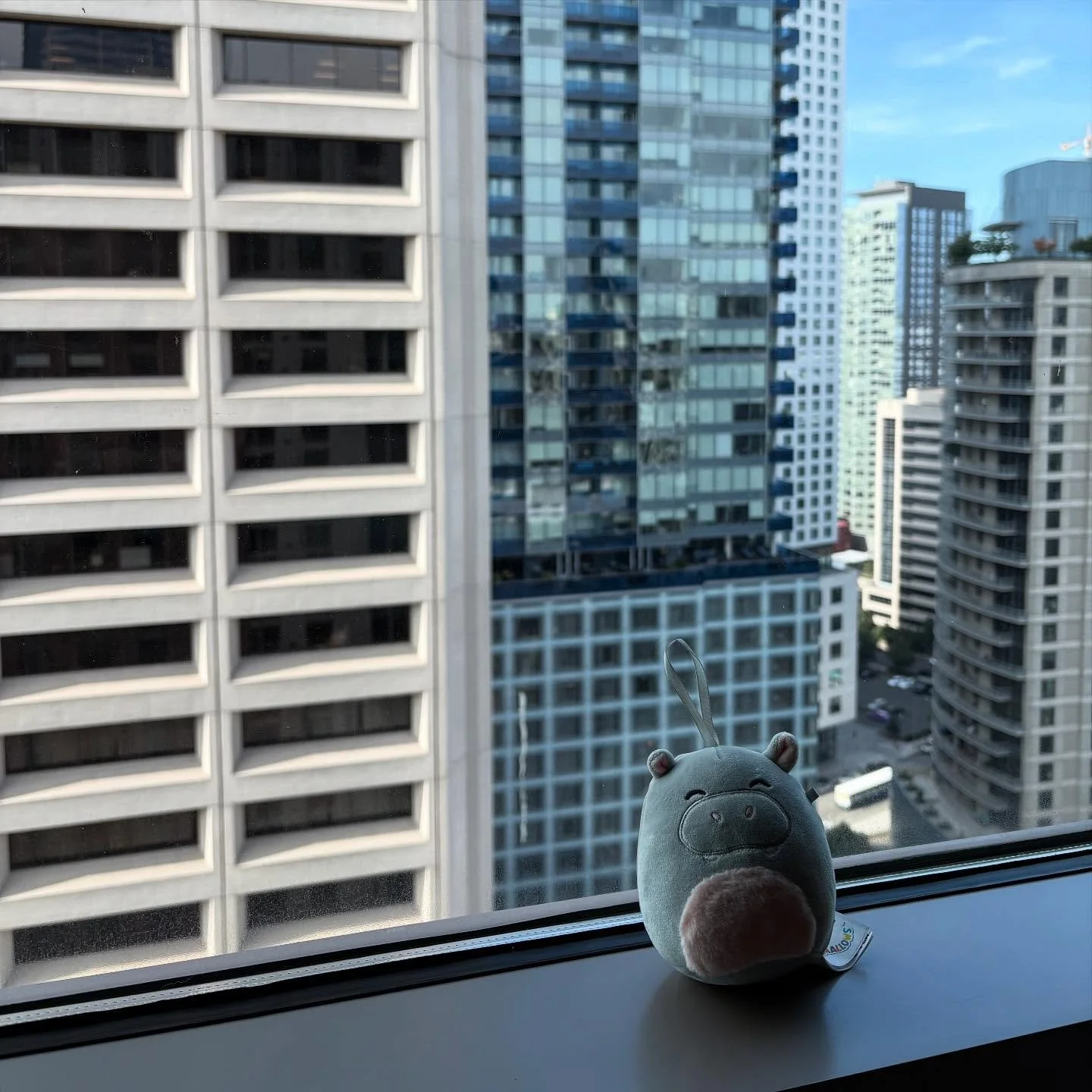 Inspired by @jeanelleteves to bring one of the kids&rsquo; @squishmallows on my work trip and document the adventures 💕