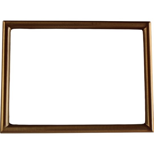 Rectangular Bronze Frame
