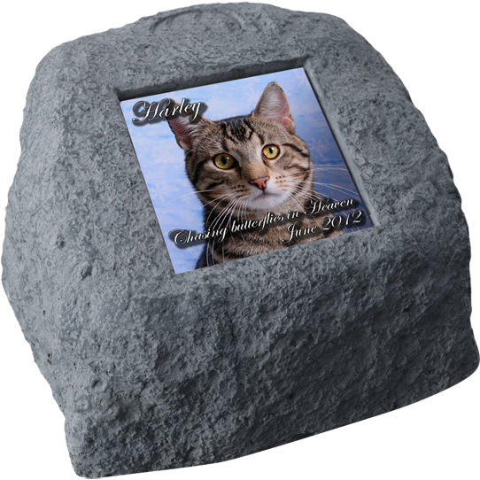 Natural Rock Design