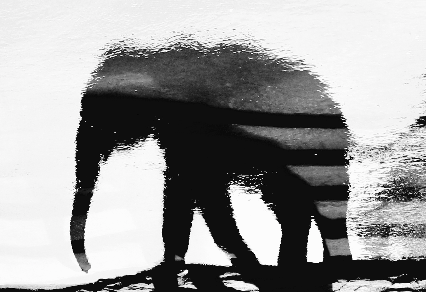 2011-07-02 at 08-50-55.png