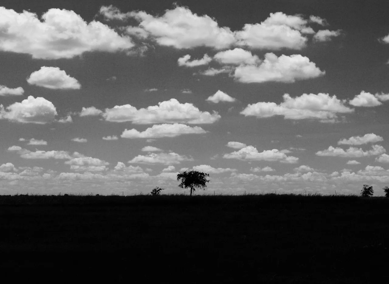cloudy