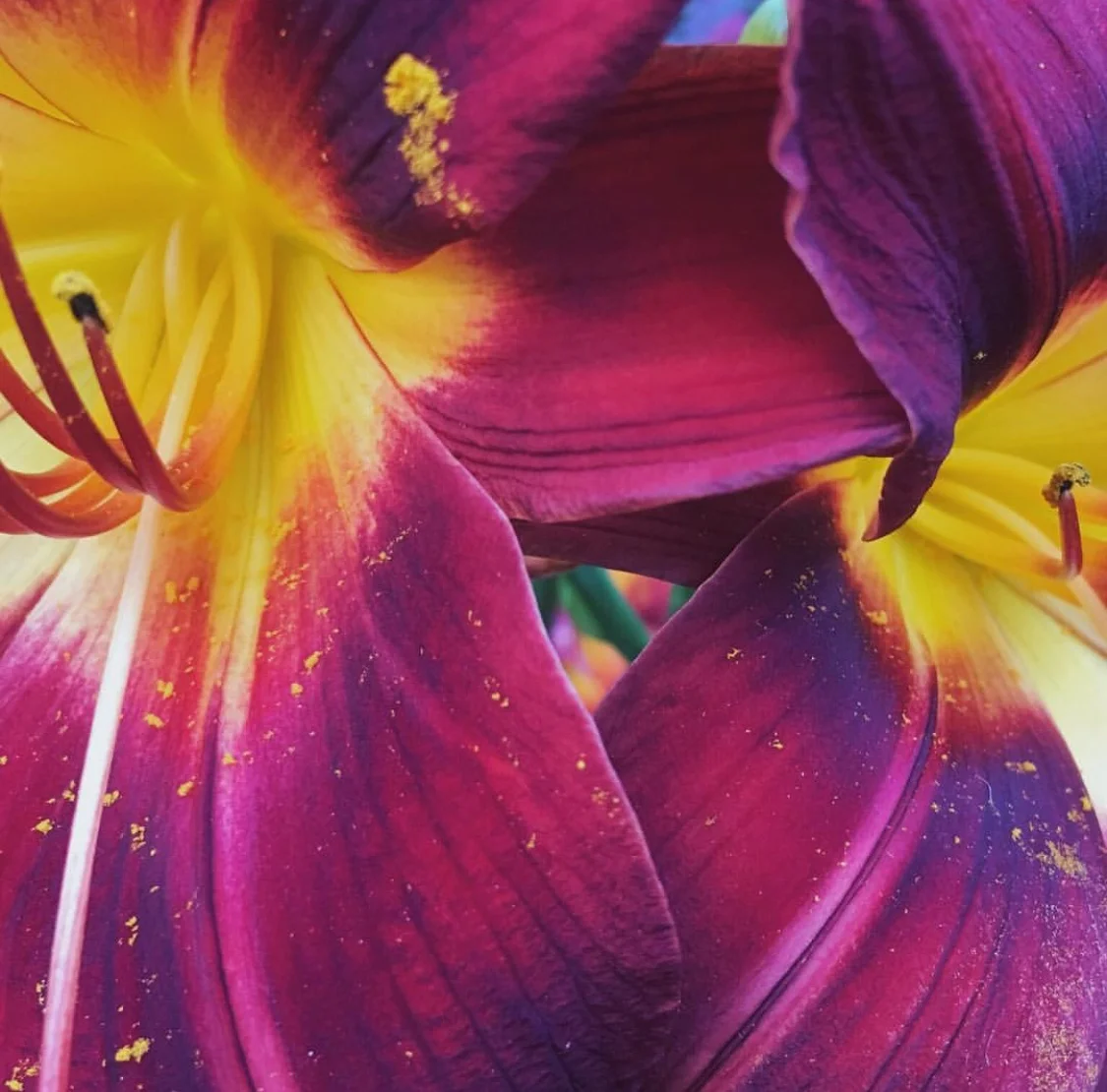 Spring Flower Arranging Workshop