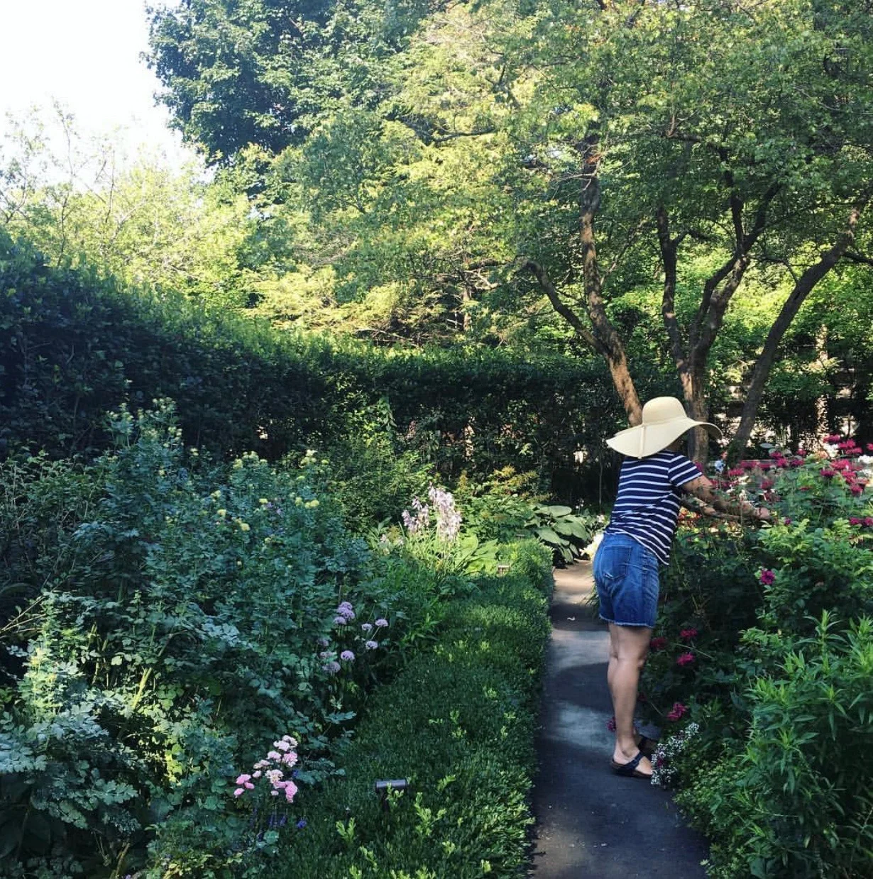 Shakespeare Garden Work day
