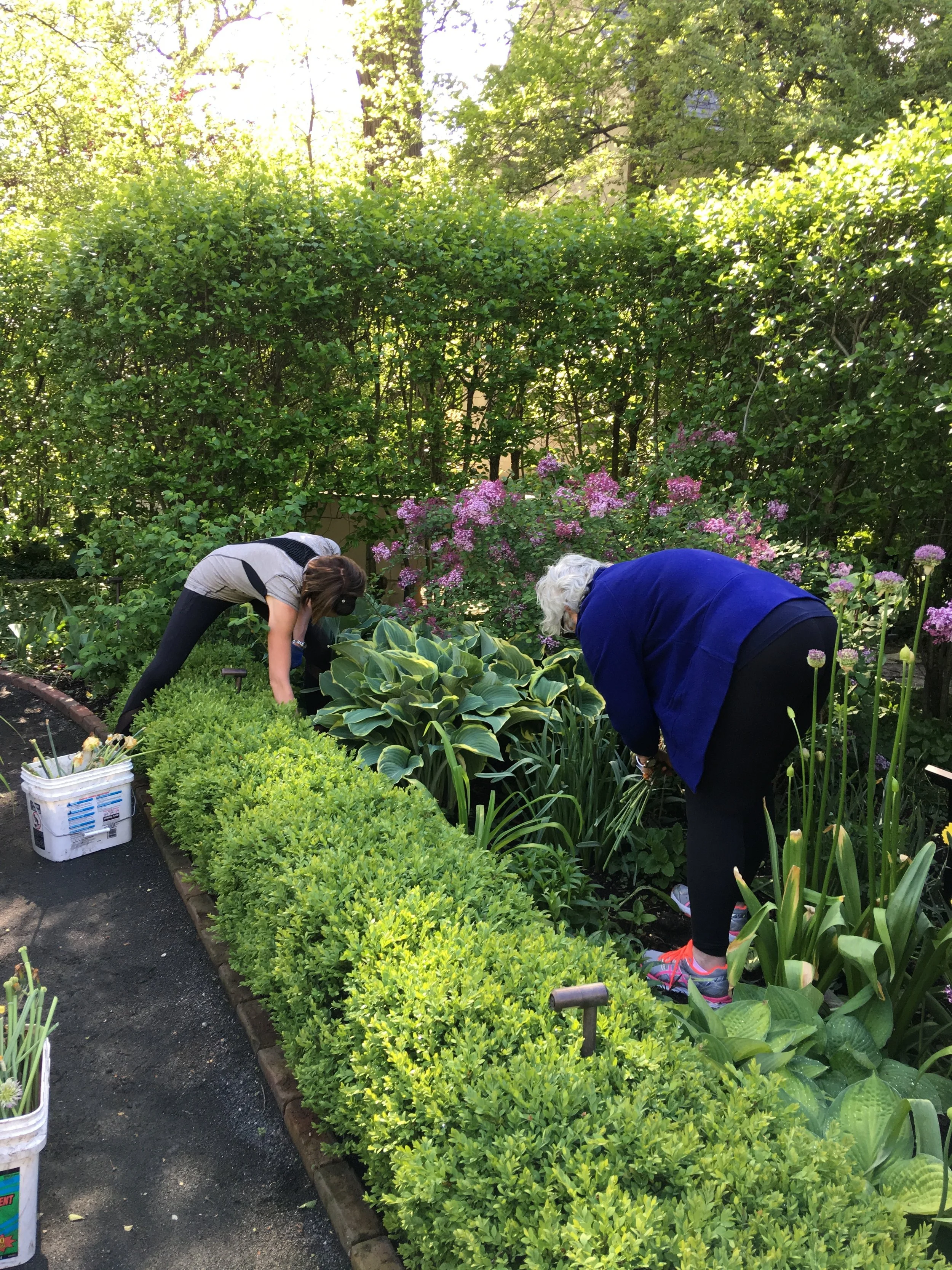 Wildflower Work Day
