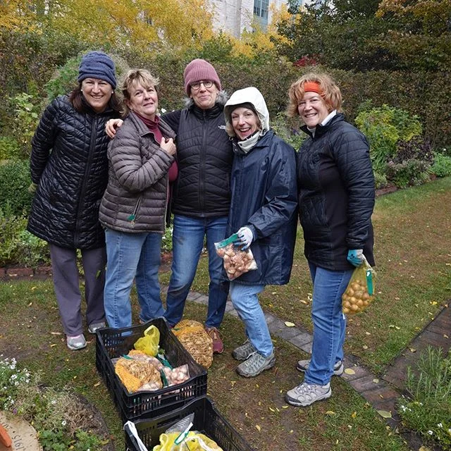 It&rsquo;s bulb planting season! Stay tuned for this Spring when the fruits of the dedicated Evanston Garden Club&rsquo;s labors will blossom.