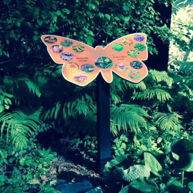 Sadly, these signs for Evanston&rsquo;s Shakespeare Garden and Wildflower Trail Garden were stolen several weeks ago.  Please contact The Garden Club of Evanston or dm this account if you have any information regarding the whereabouts.