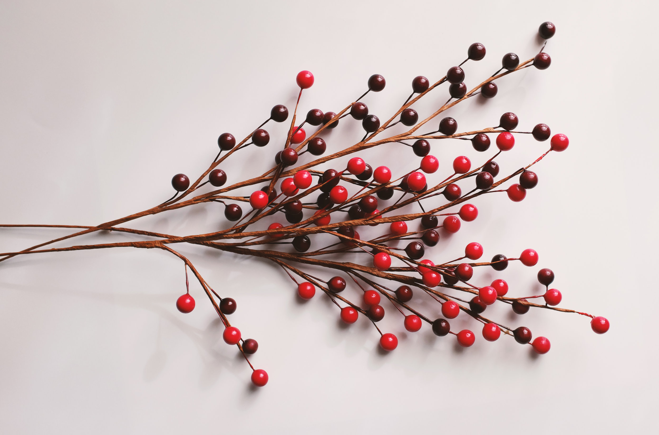 General Membership Meeting - Holiday Arrangement Demonstration