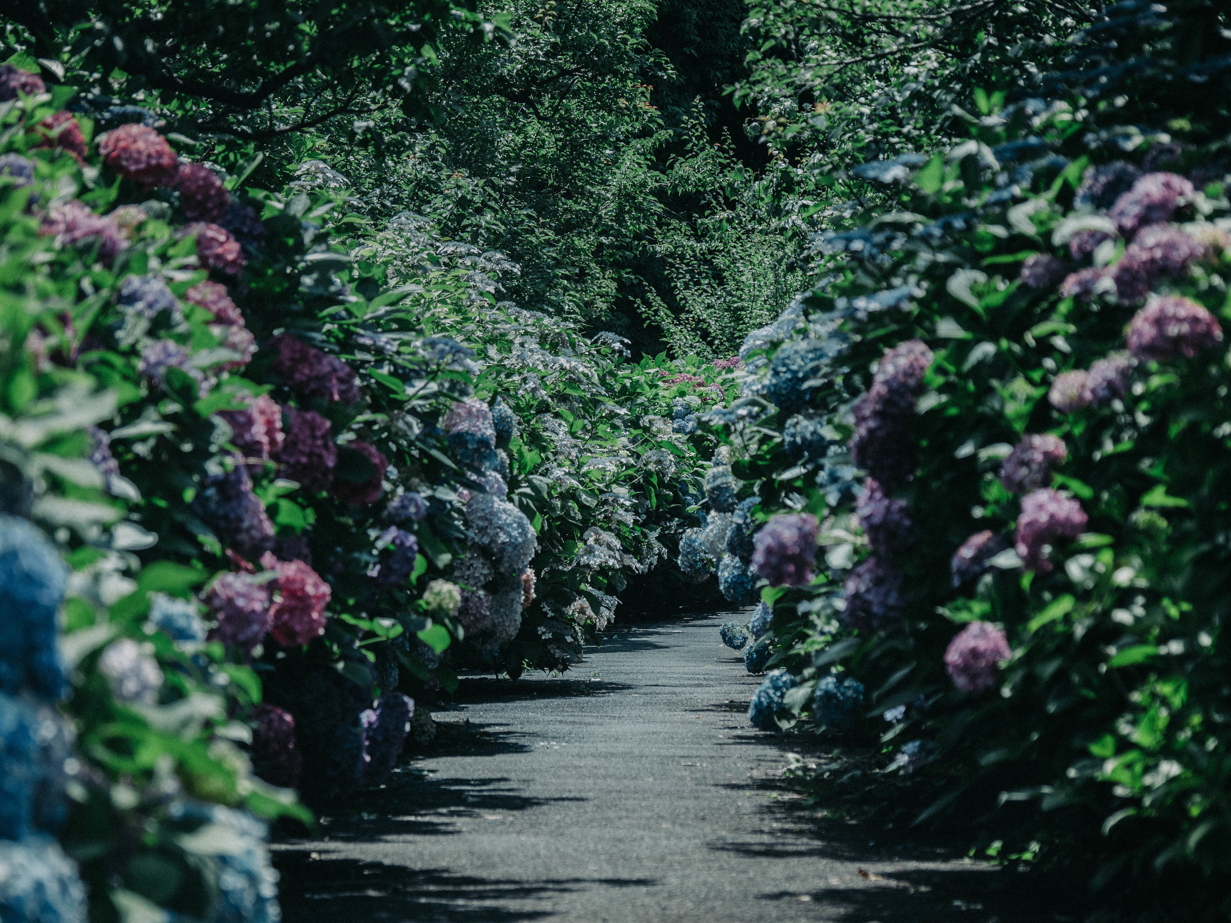 General Membership Meeting - Gardens of the North Shore