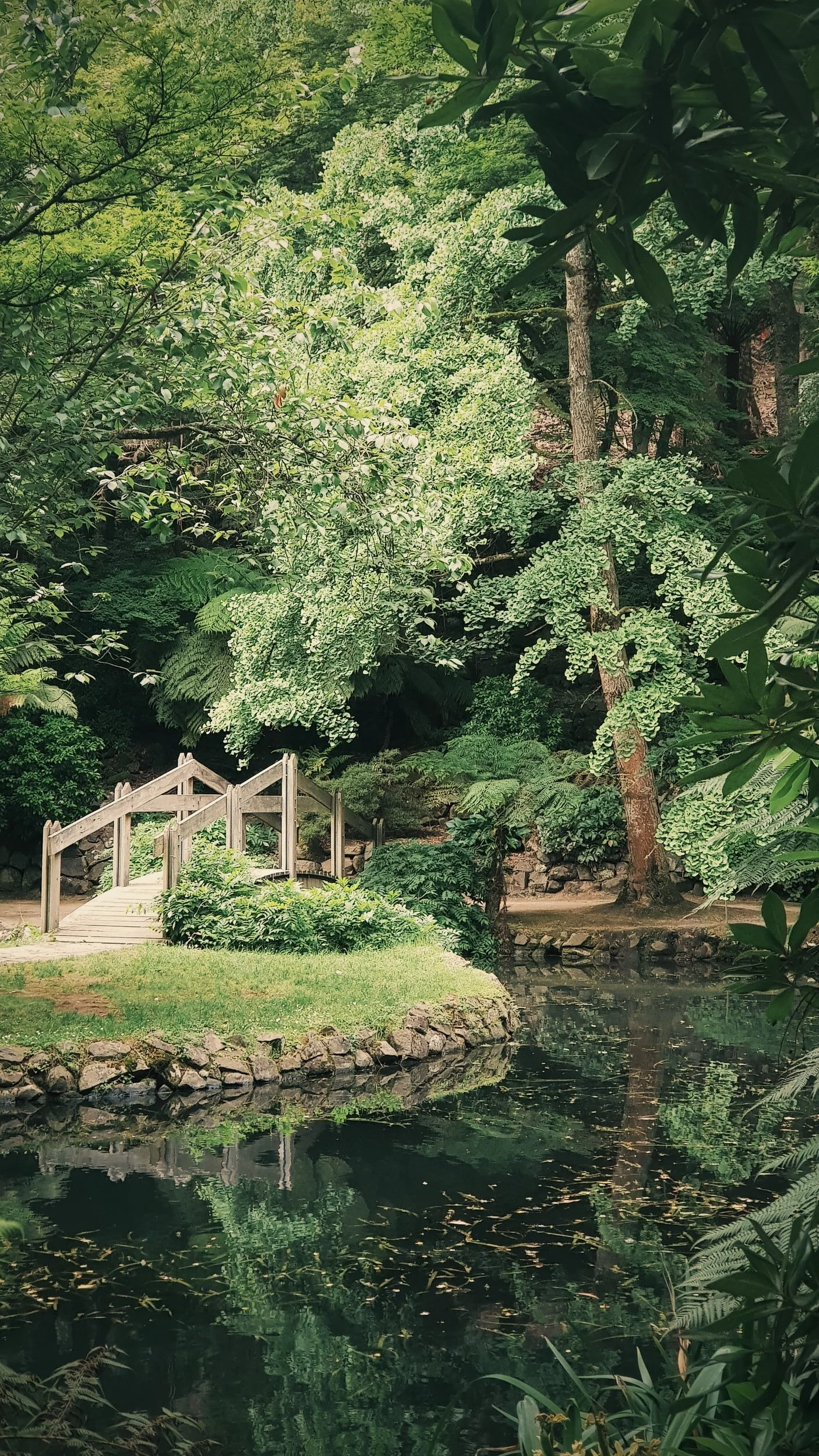 Pop-Up Garden: Rosanne Dineen