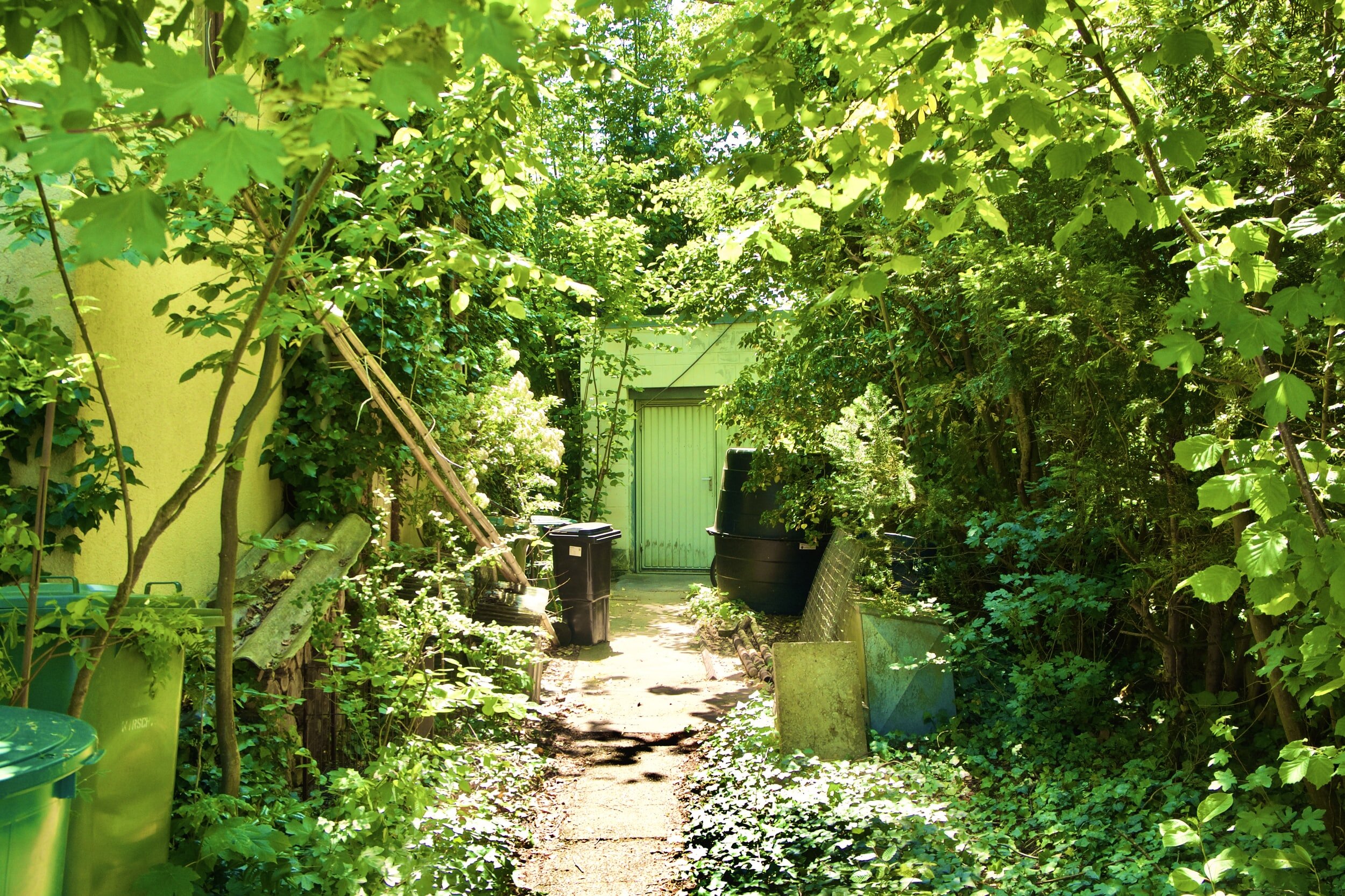 Pop-Up Garden: Nina Donnelly