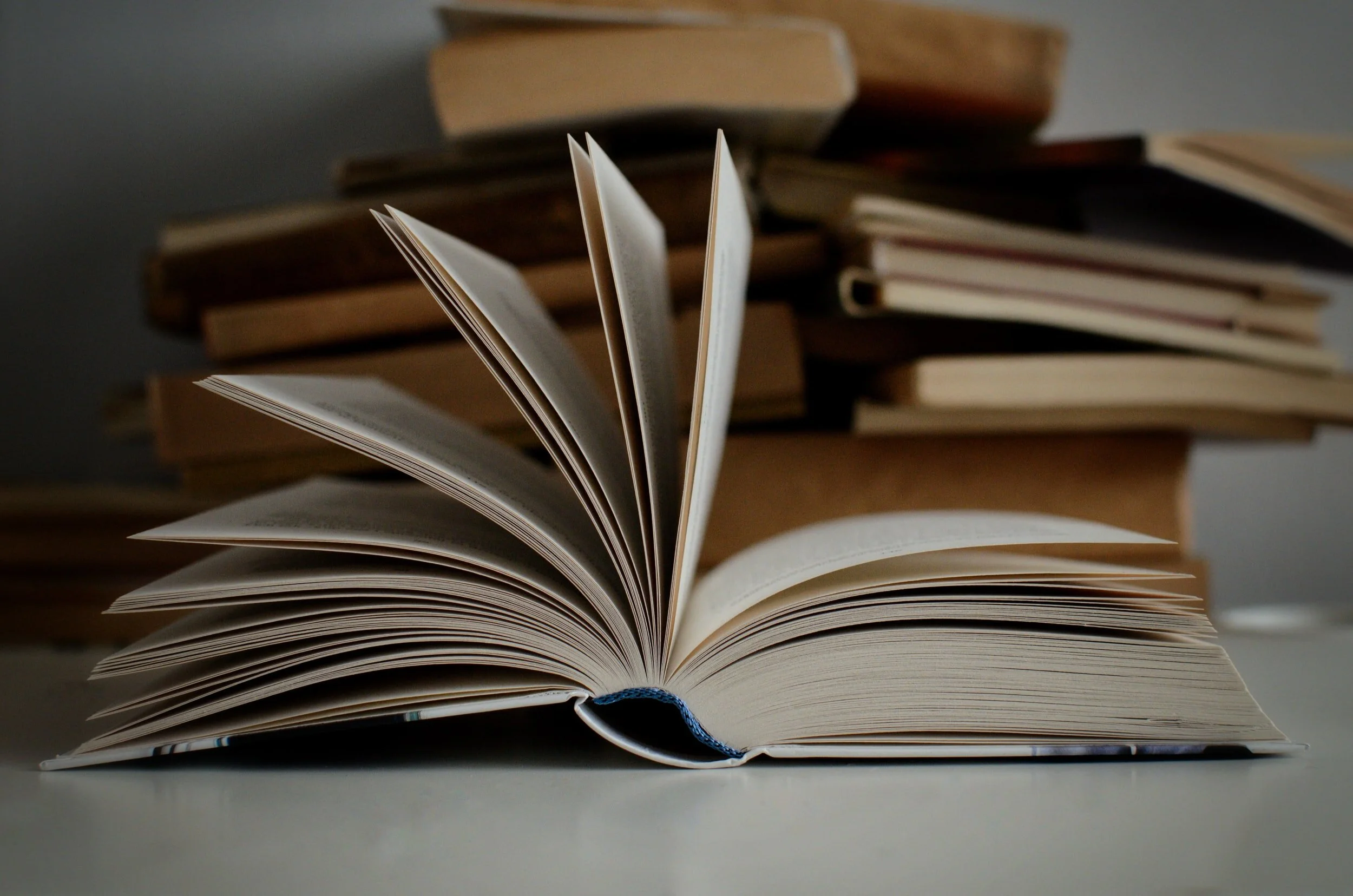November Book Club via Zoom
