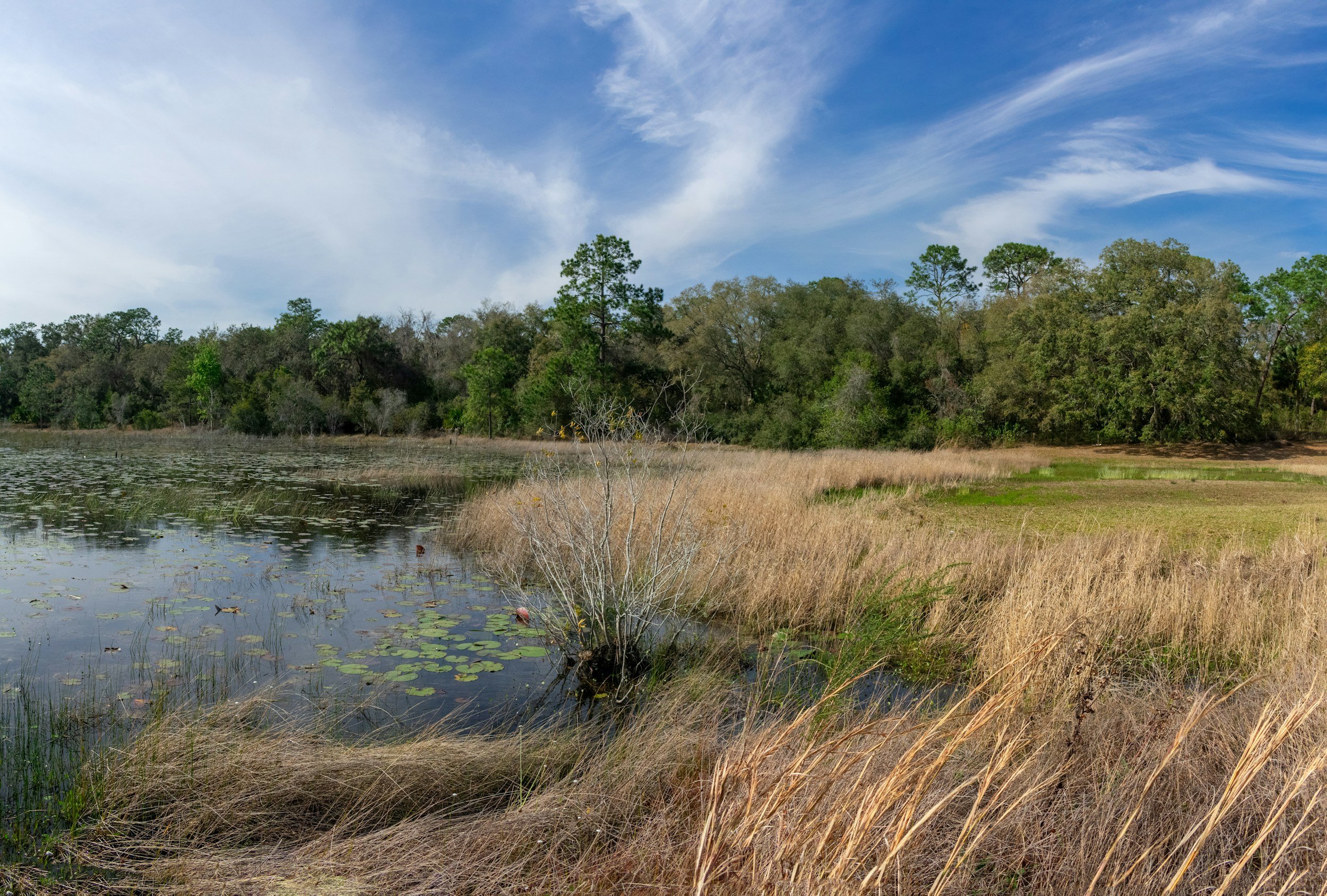 Volo Bog