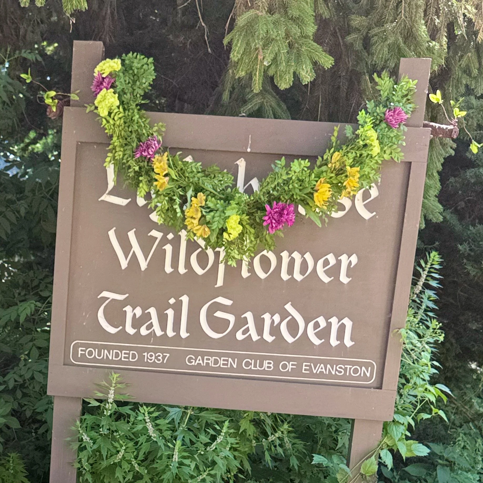 Wildflower Trail and Butterfly Gardens Member Party